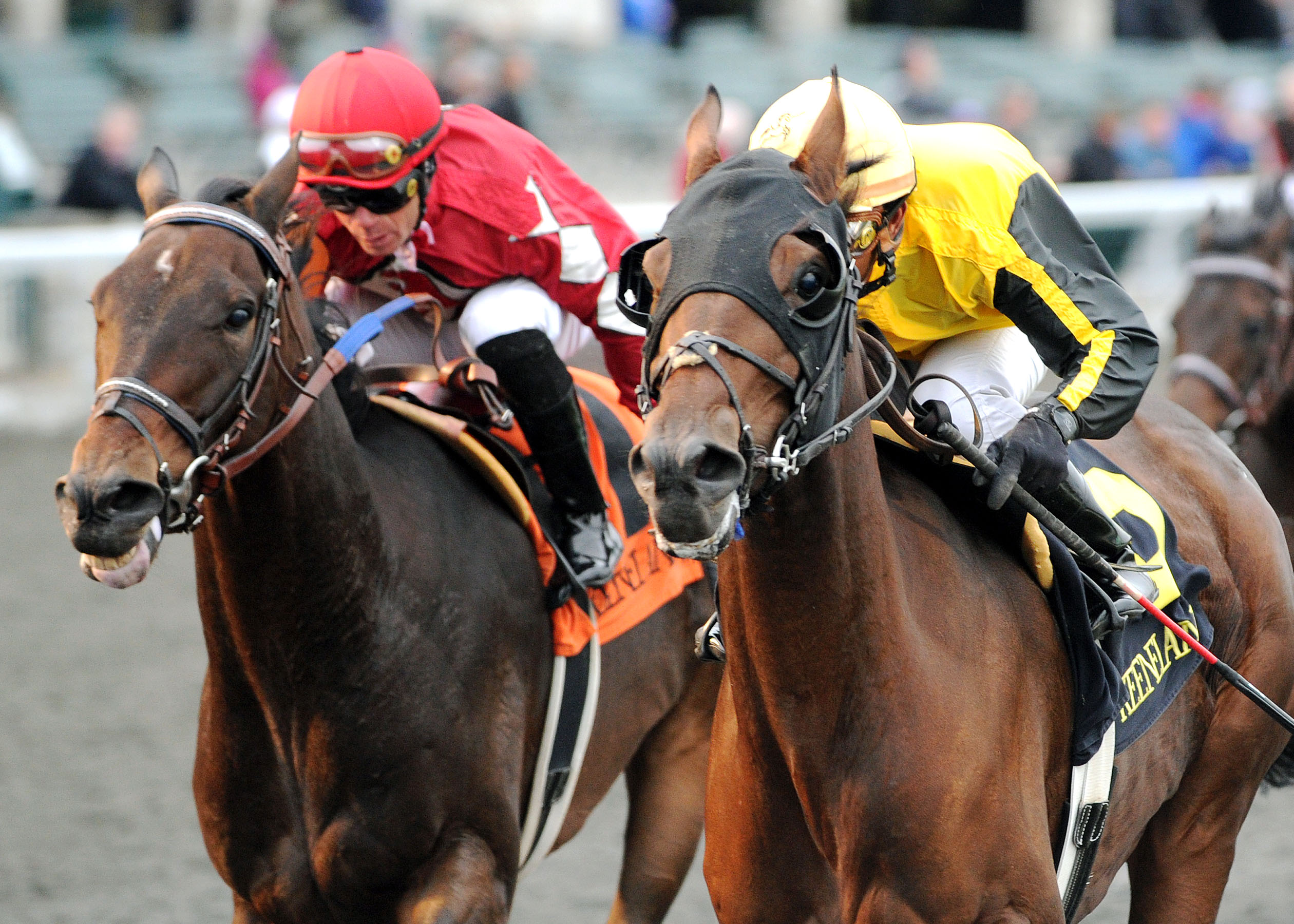 King: Plenty of positives for Tahoe Lake in Louisville Handicap