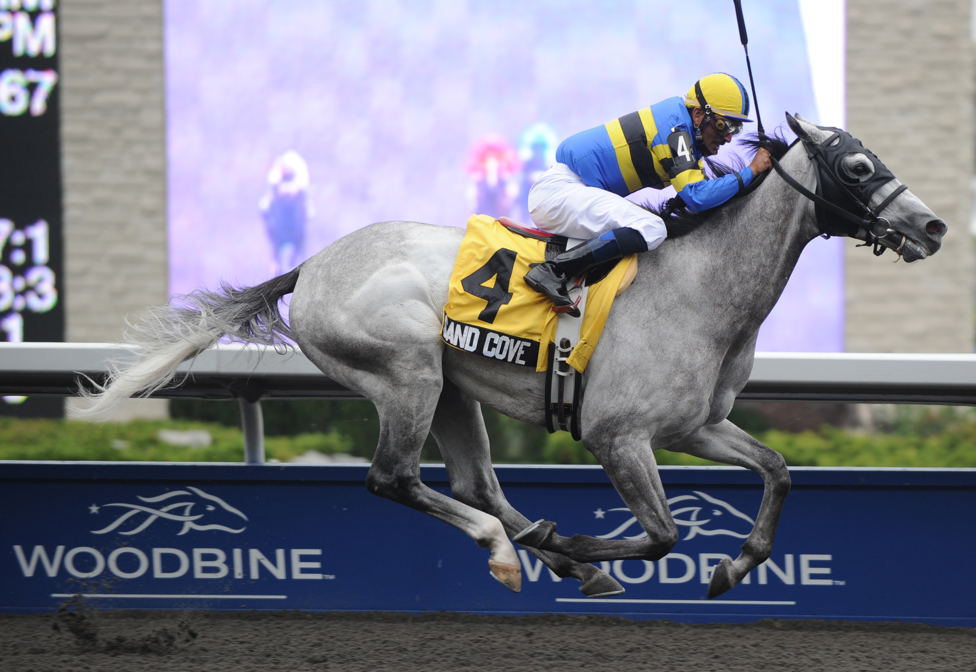 Sand Cove/2010 Seagram Cup