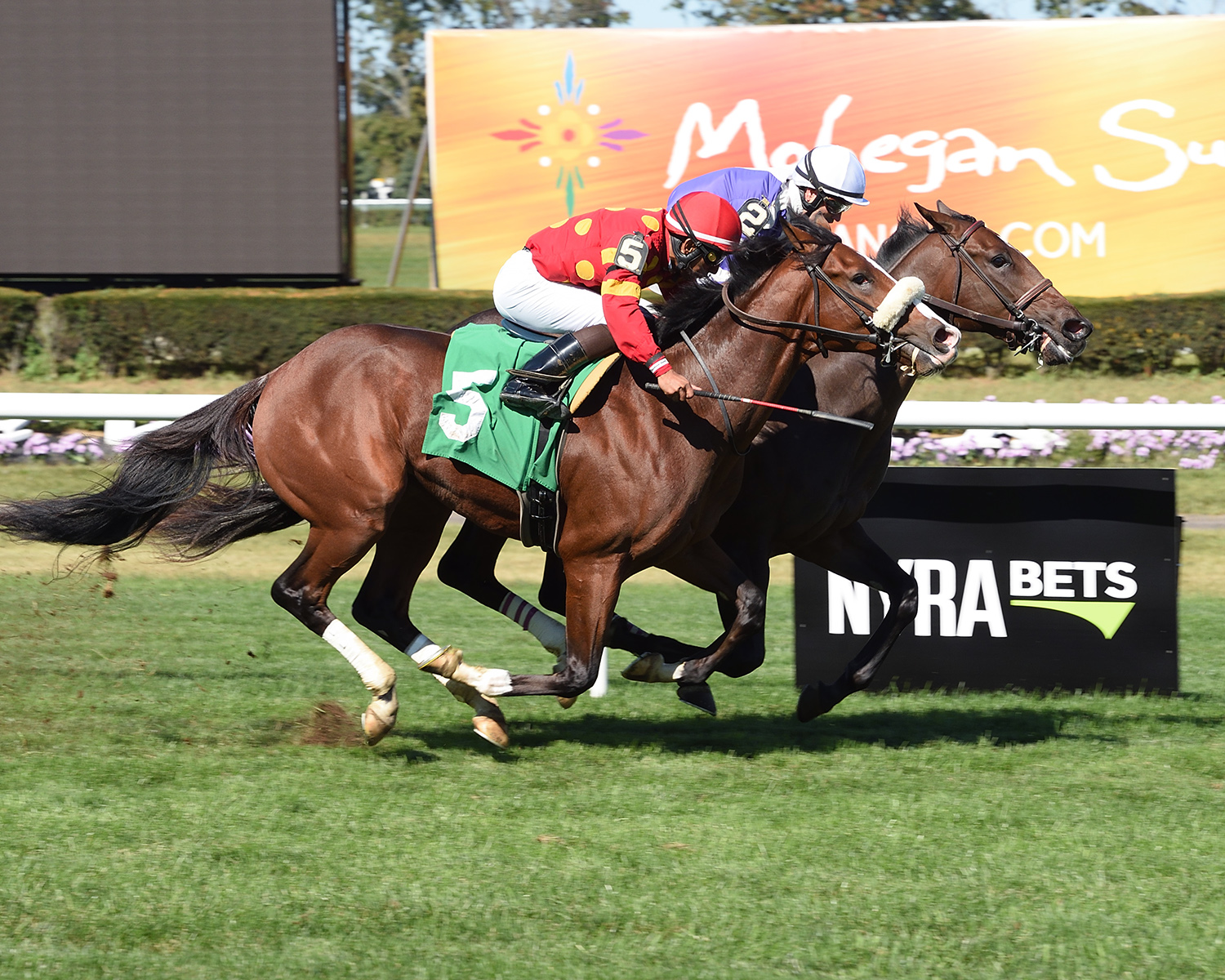 Sand Dancer wins an Oct. 1 maiden race