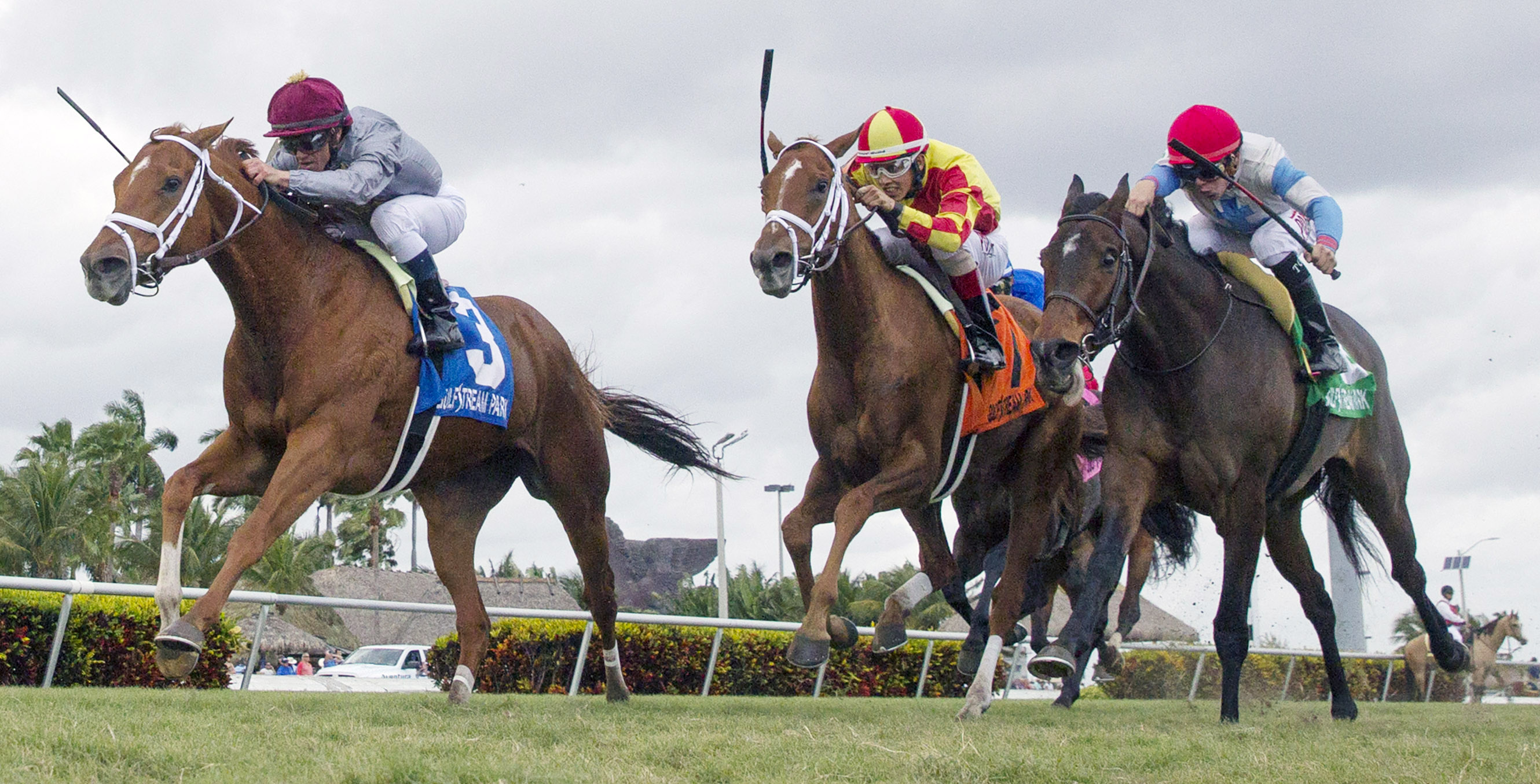 Sandiva wins the Marshua's River Stakes