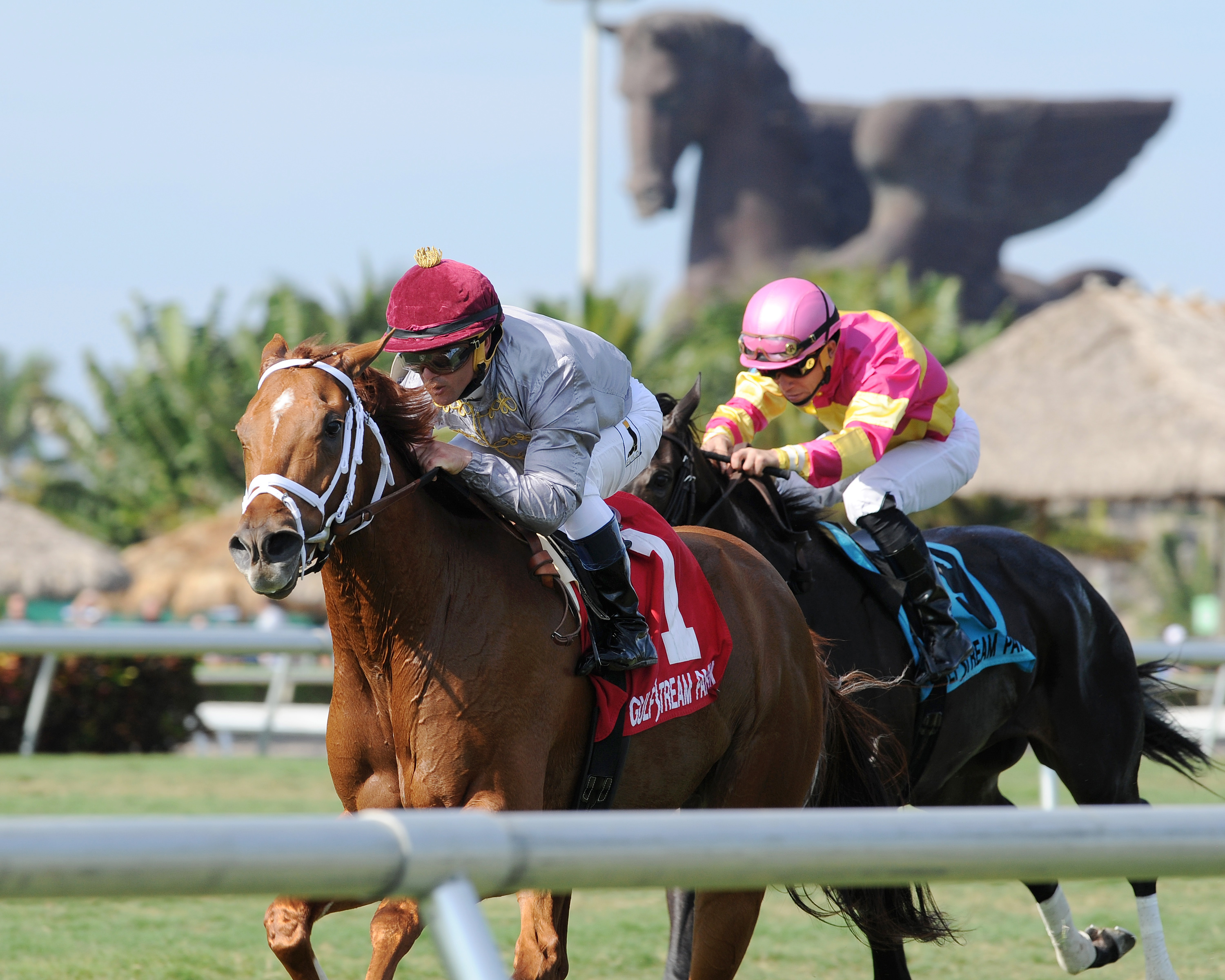 Sandiva wins the Marshua's River