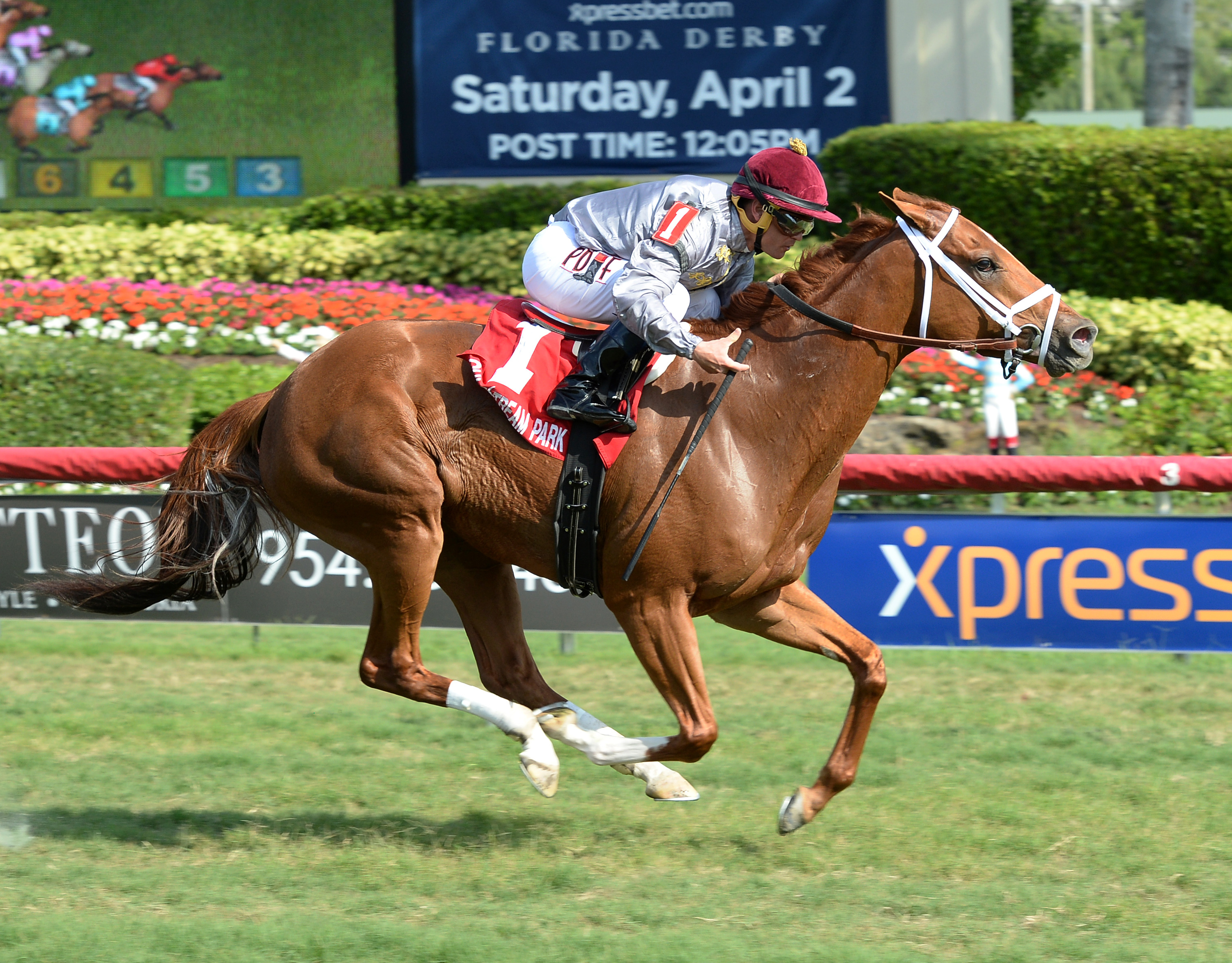 Sandiva wins the Marshua's River