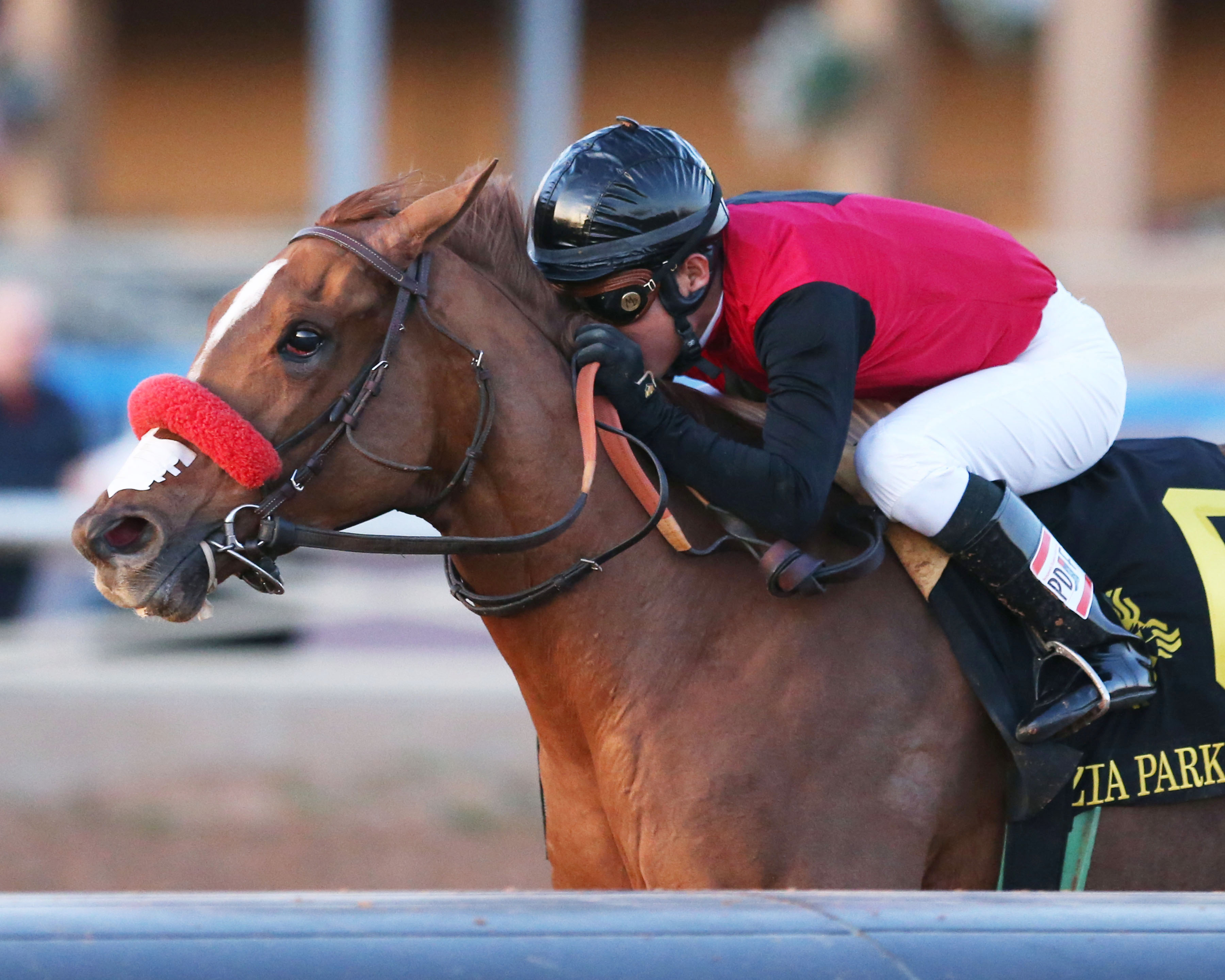 Sandy's Surprise wins the Zia Park Oaks