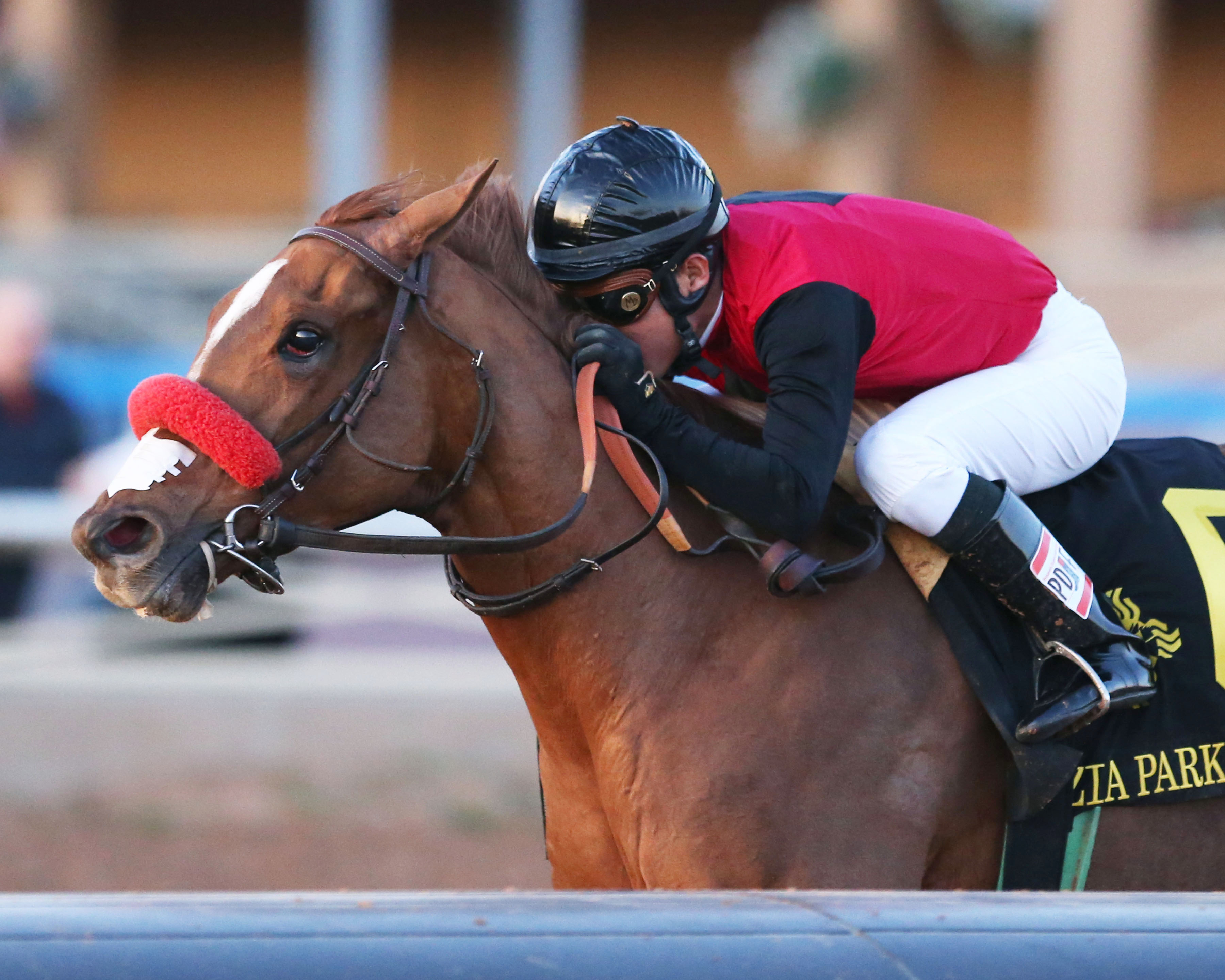 Sandy's Surprise wins the Zia Park Oaks