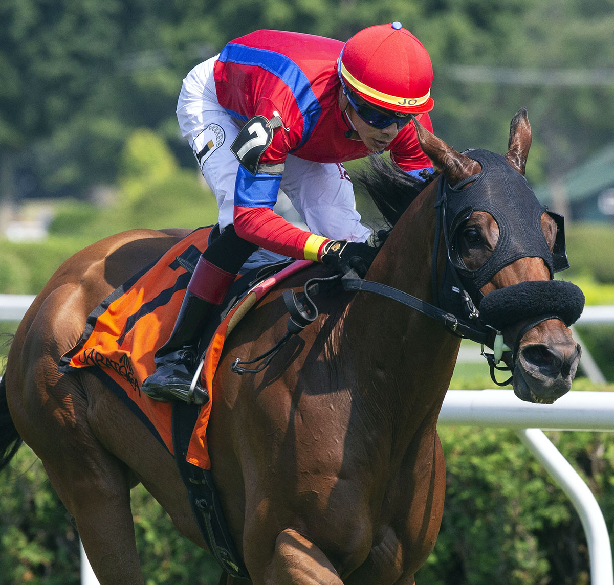 Sandy-z Slew wins the 2018 Troy Stakes