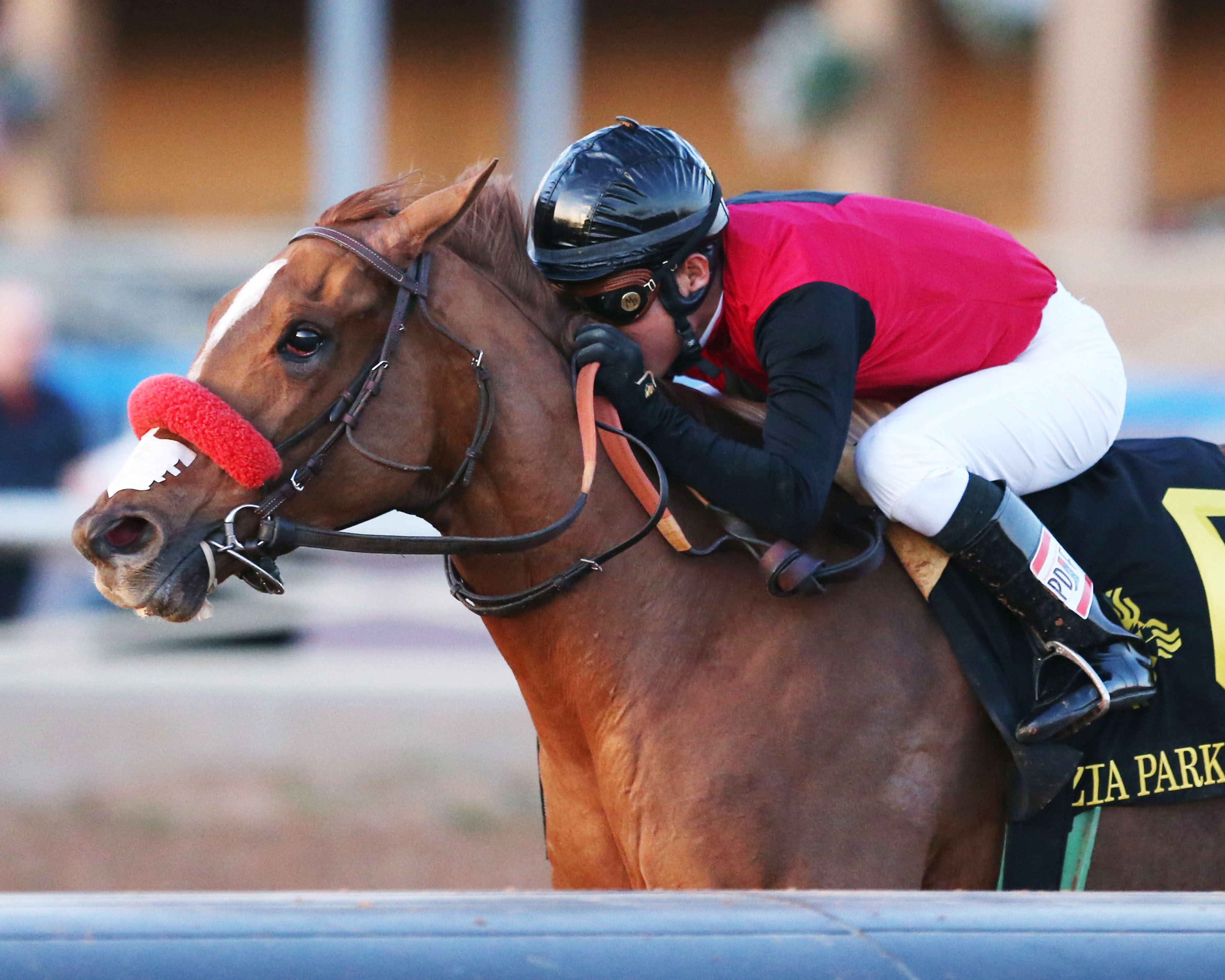 Sandys Surprise wins the 2017 Zia Park Oaks