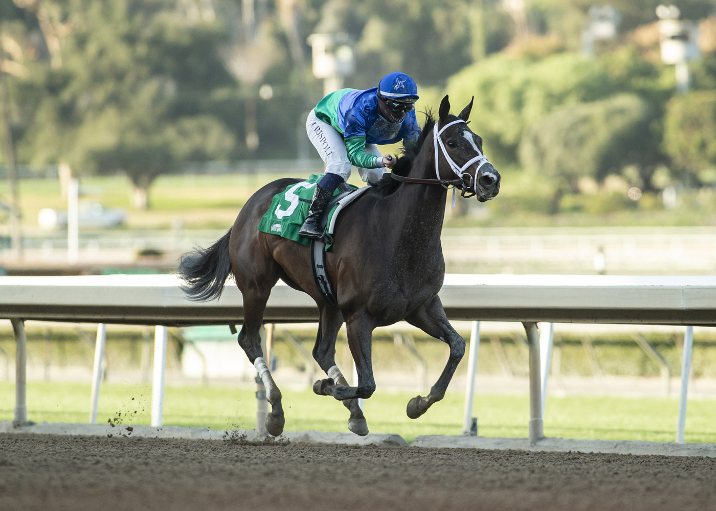 Sanenus wins La Canada 1-9-2021