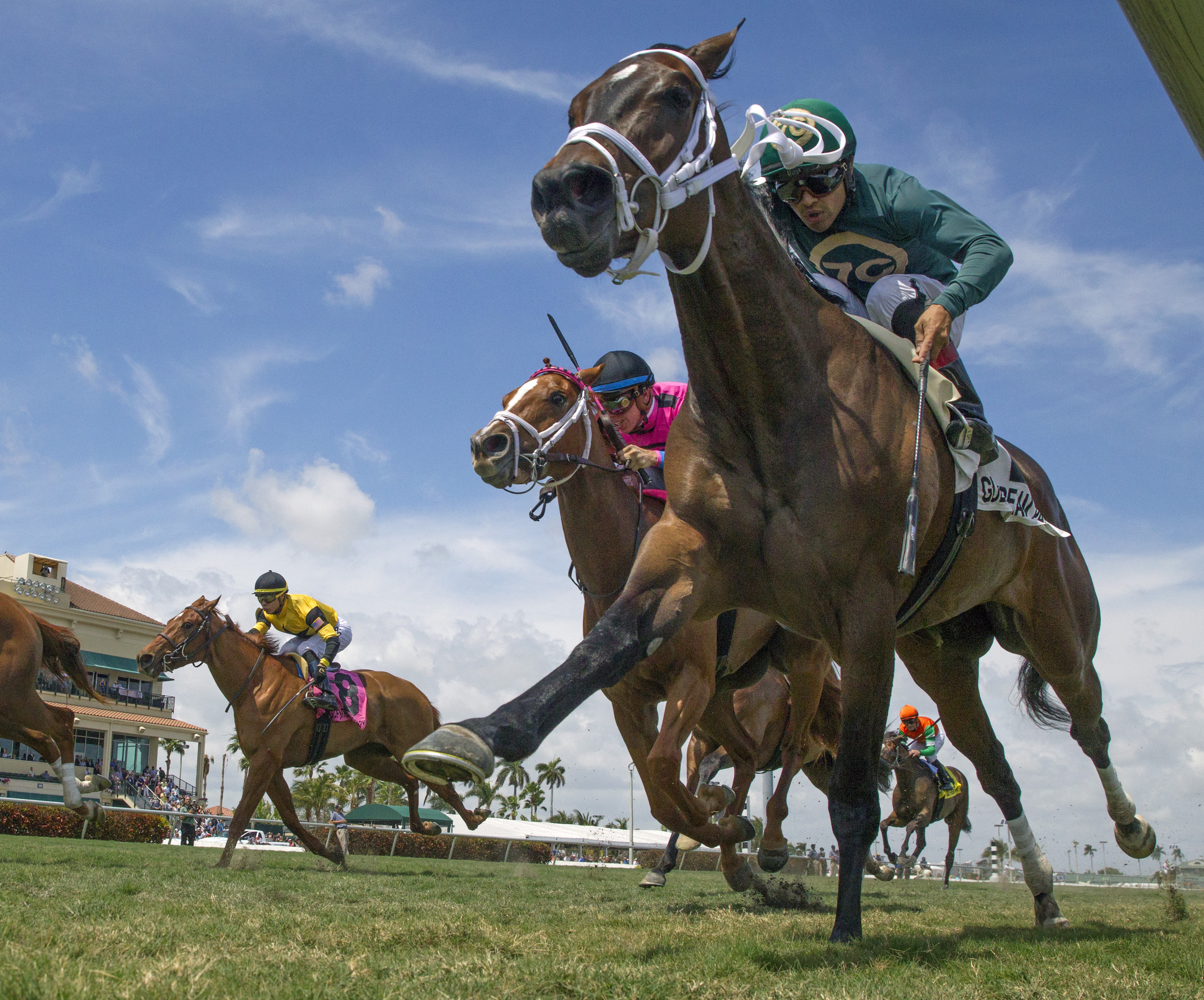 Figarella-s Queen wins the 2018 Sanibel Island Stakes