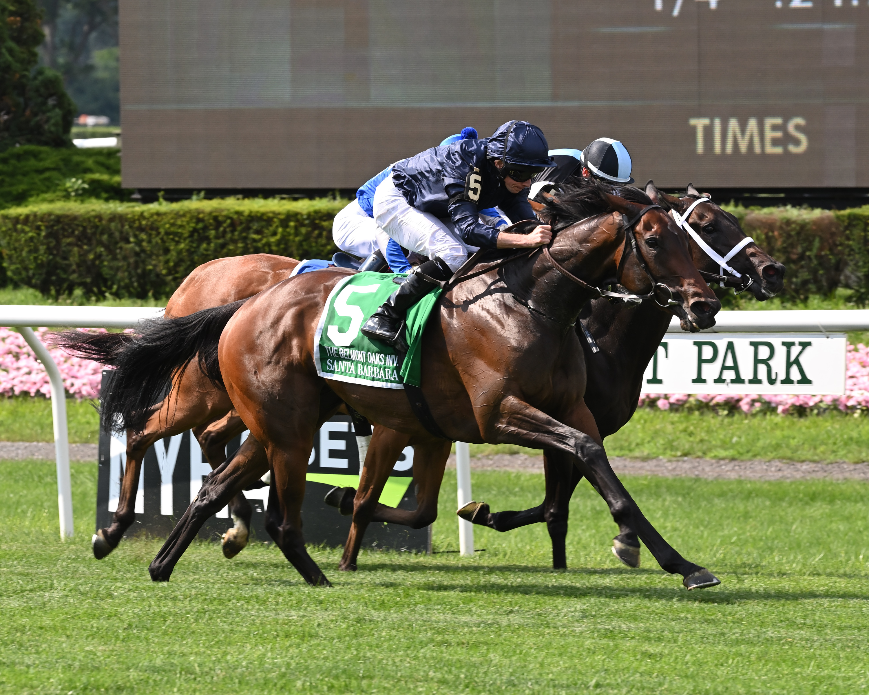 Santa Barbara - Belmont Oaks Inv. 2021