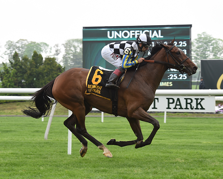 Santa Monica wins the 2019 Sheepshead Bay