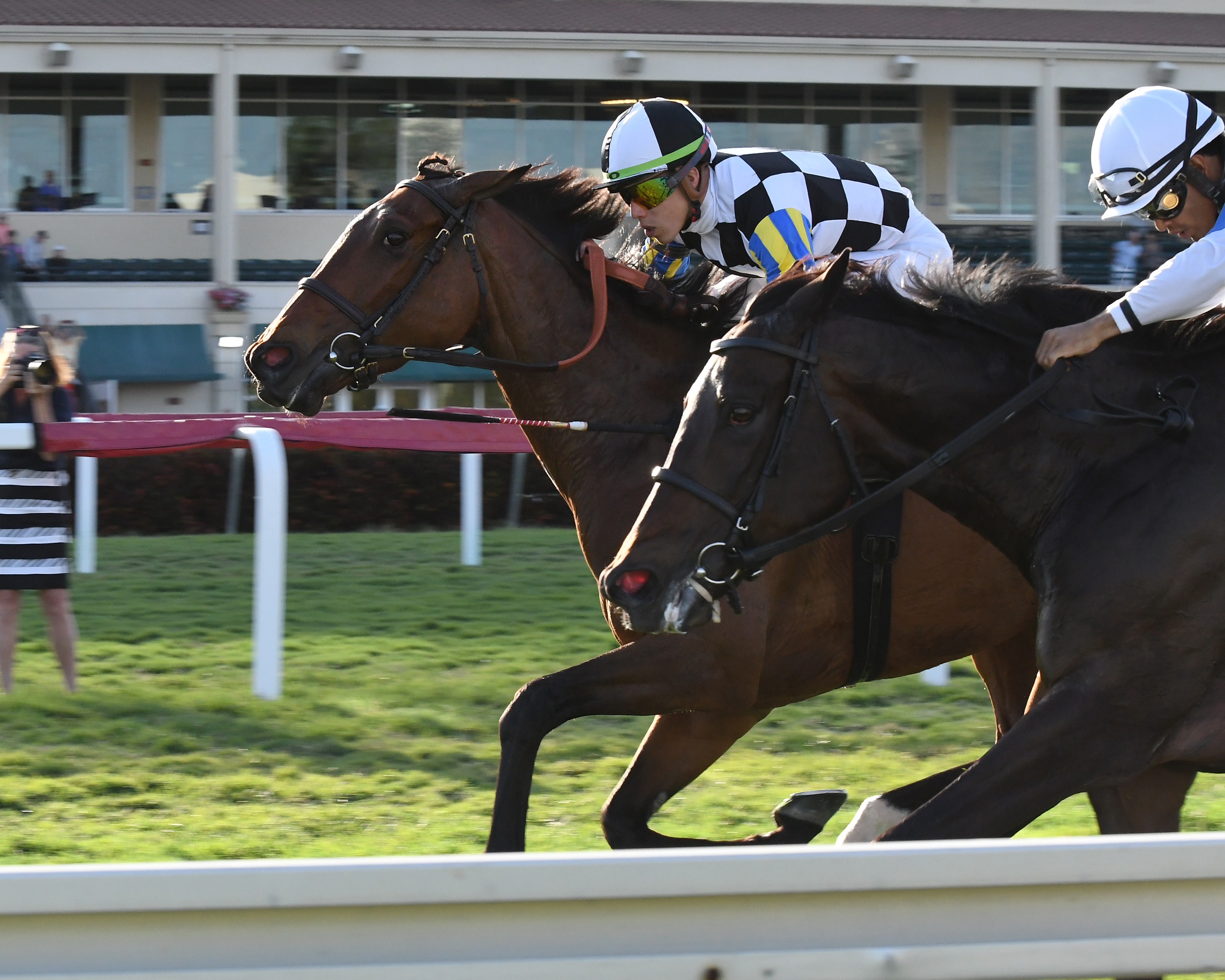 Santa Monica (left) defeats Ickymasho in the 2019 Orchid Stakes