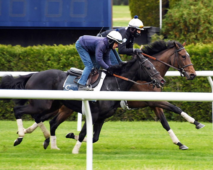 Pollara trains with Santa Monica at Belmont in October 2018