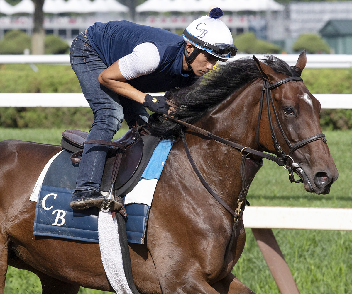 Santa Monica trains at Saratoga on Aug. 2