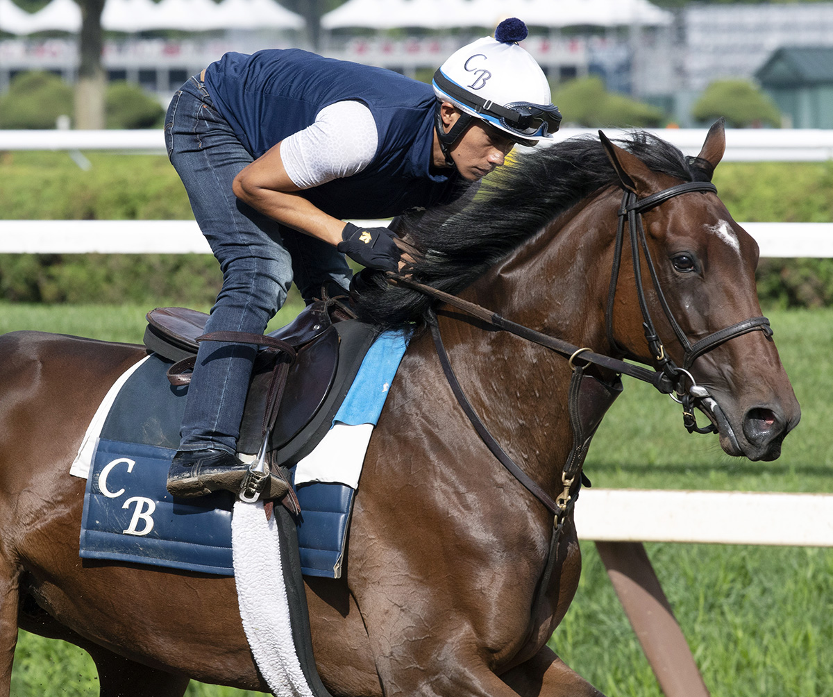 Santa Monica trains at Saratoga on Aug. 2
