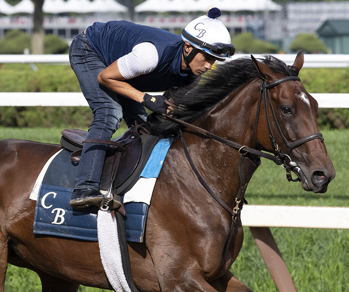 Santa Monica trains at Saratoga on Aug. 2