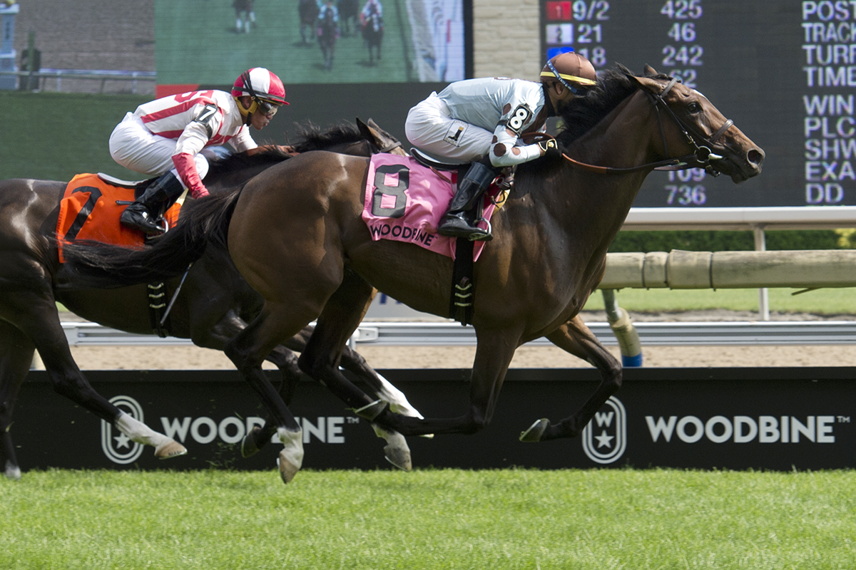 Santa Monica wins the 2018 Dance Smartly
