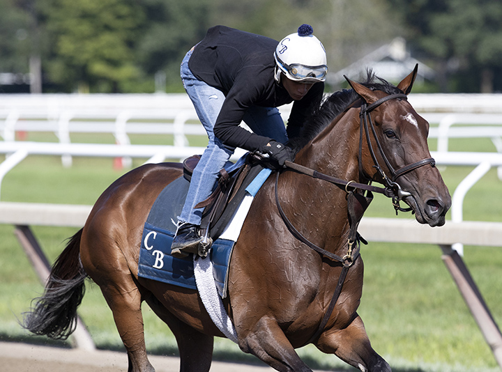 Santa Monica trains at Saratoga Race Course on Aug. 29