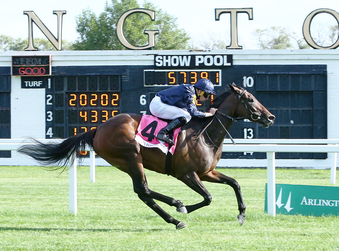 ECLIPSE 2021 female turf - Santa Barbara