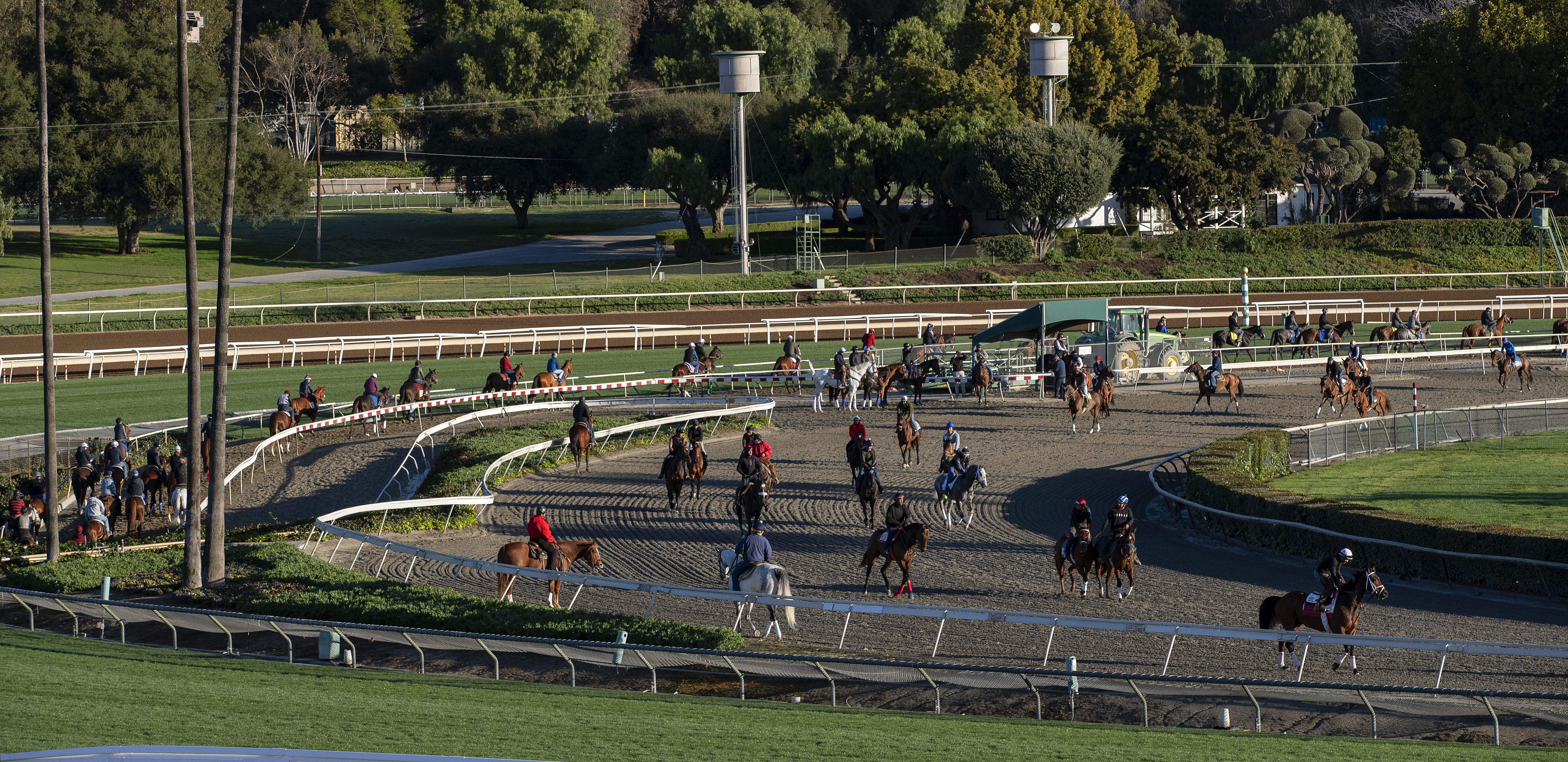 Horses on the Santa Anita training track 3.8.19
