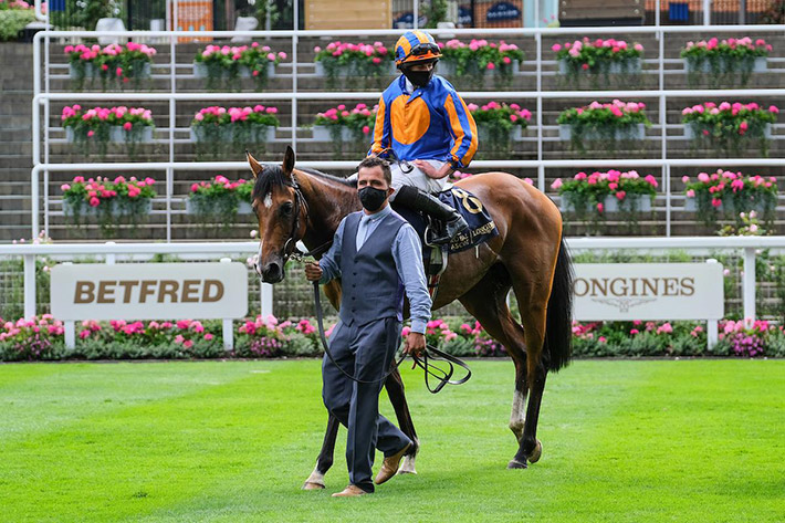 Santiago at Royal Ascot for the Queen's Vase Stakes