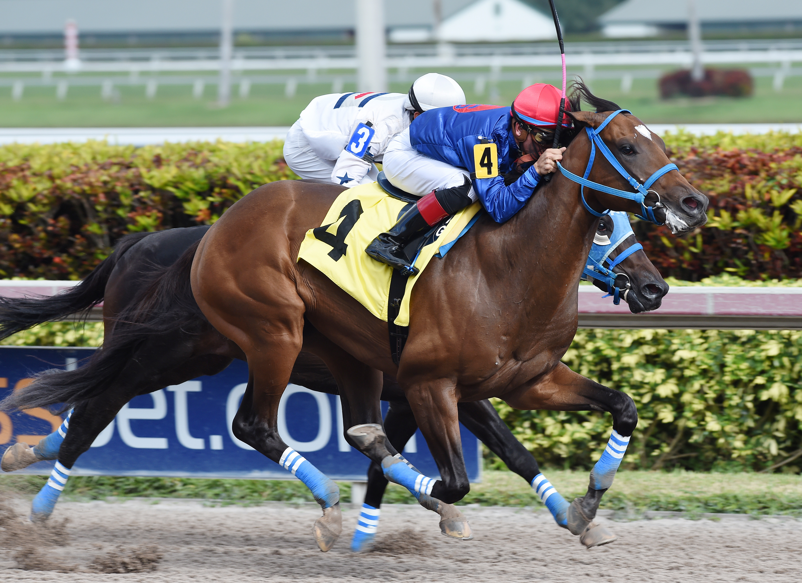 Santiamen wins a Dec. 21 allowance at Gulfstream Park