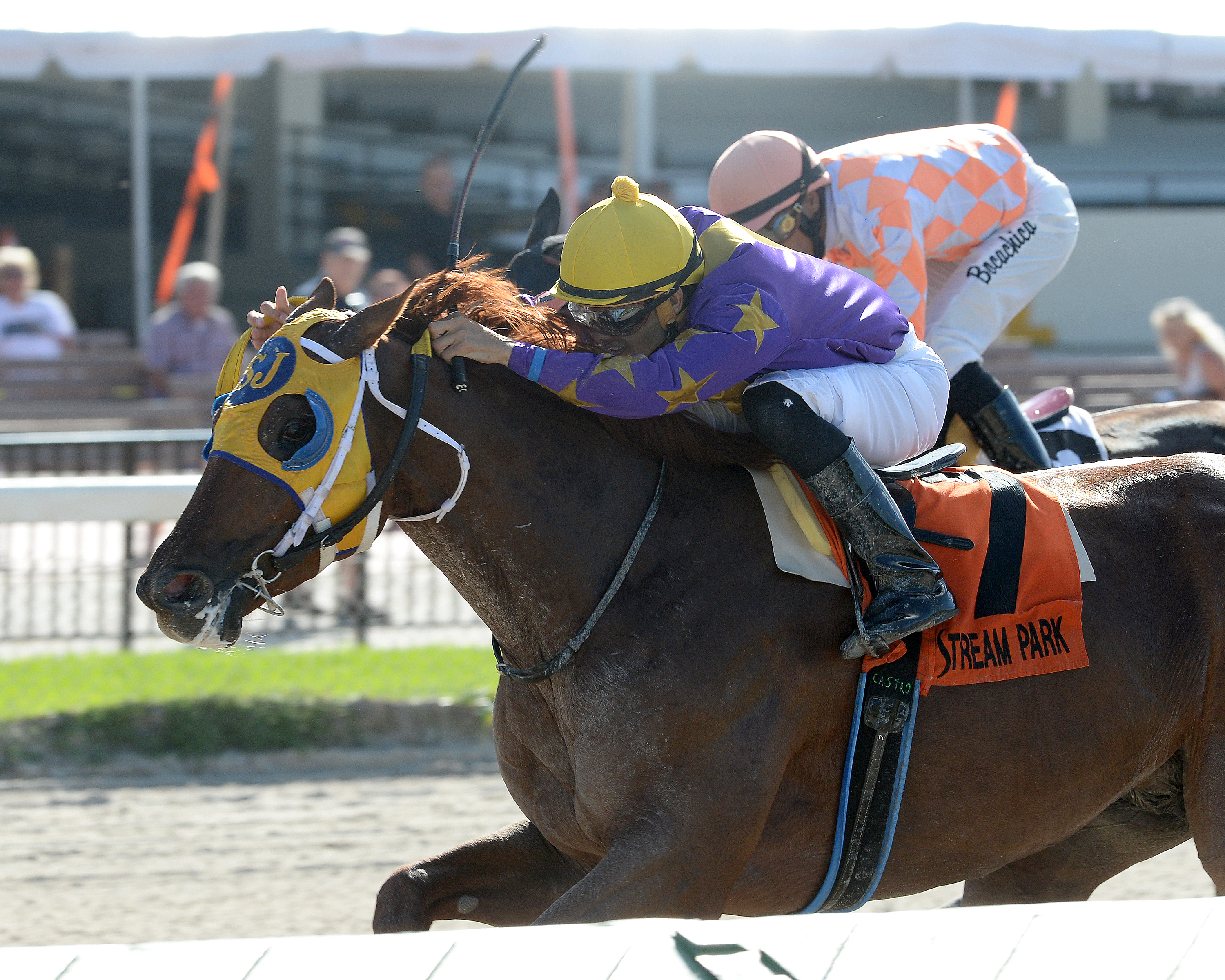 Saraguaro wins 2015 Sunshine Millions Classic Preview