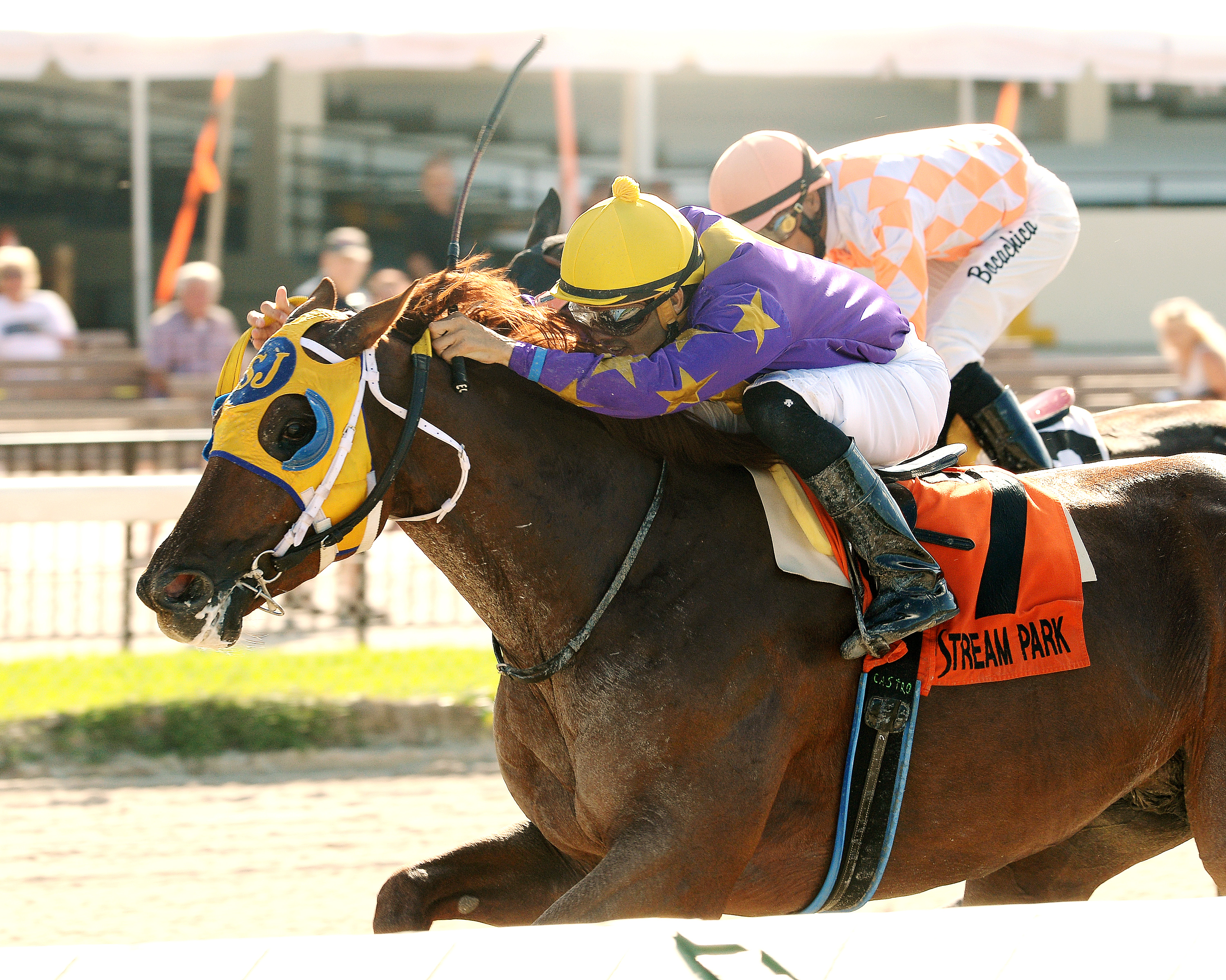 Saraguaro wins the Millions Classic Preview Stakes