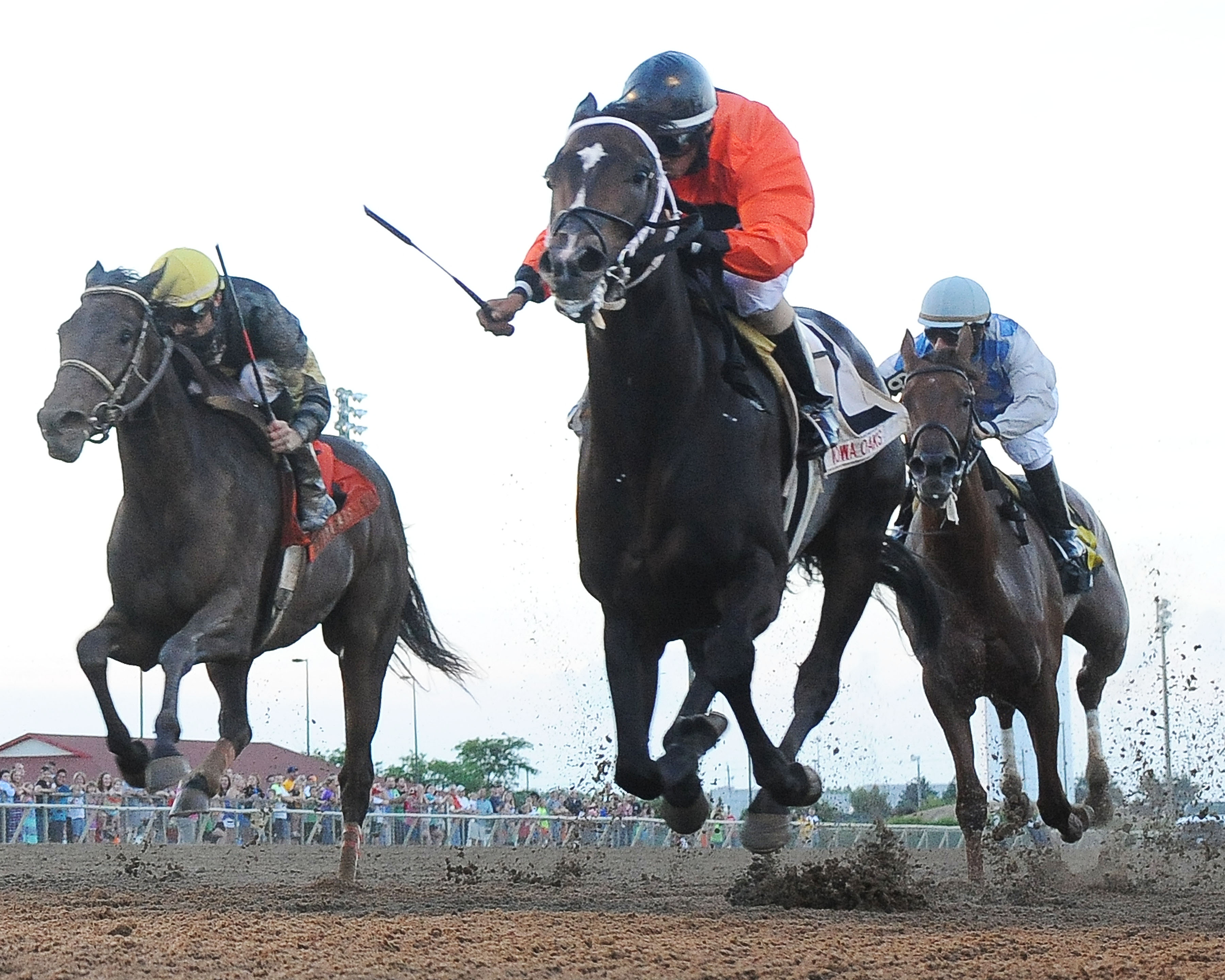 Sarah Sis wins 2015 Iowa Oaks