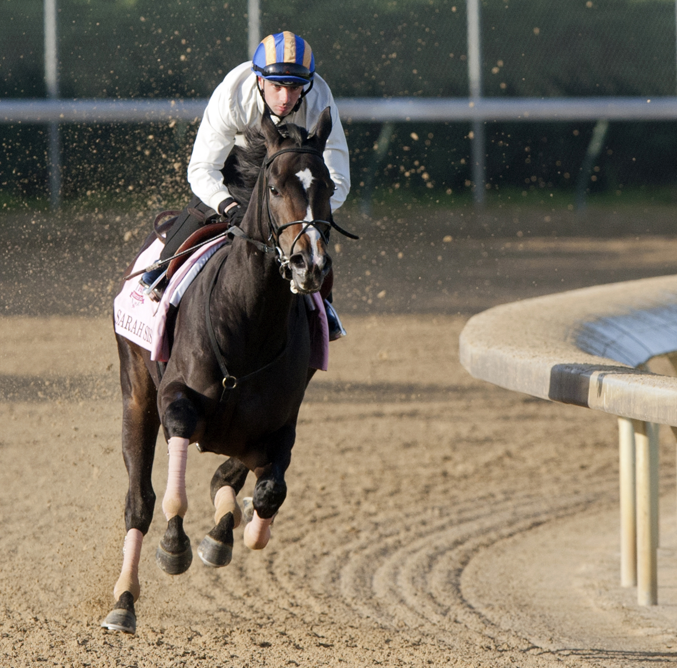 Sarah Sis will try to use tactical speed in Panthers Stakes