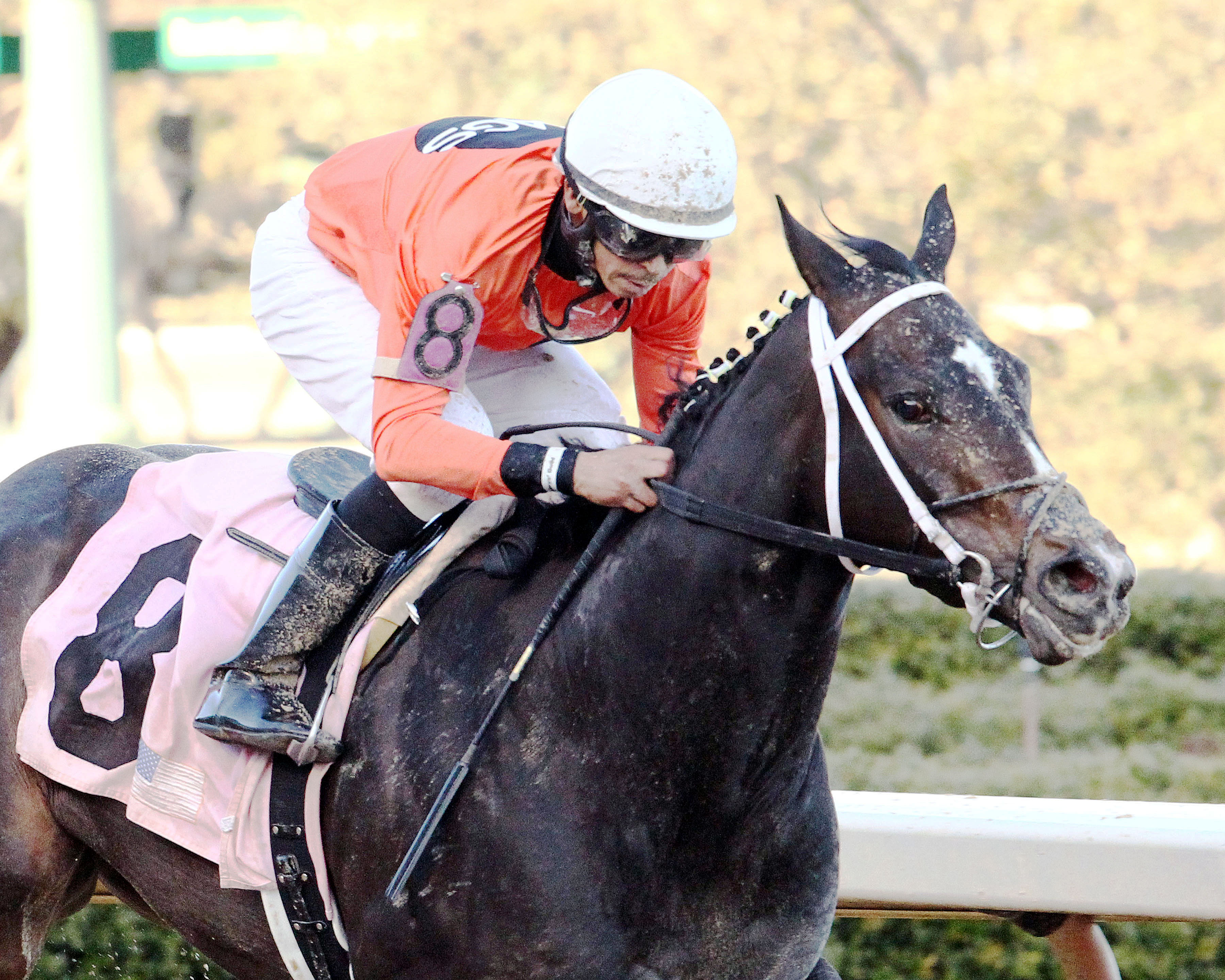 Sarah Sis wins the Honeybee