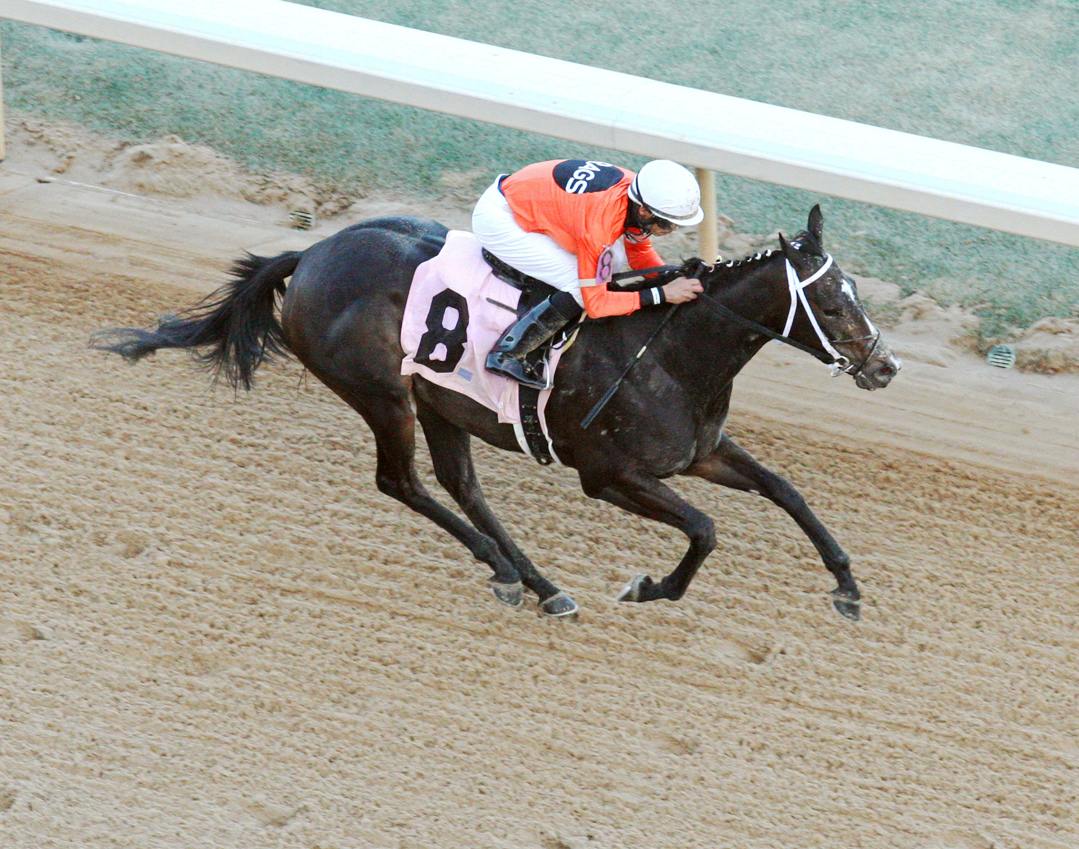 Sarah Sis wins the Honeybee