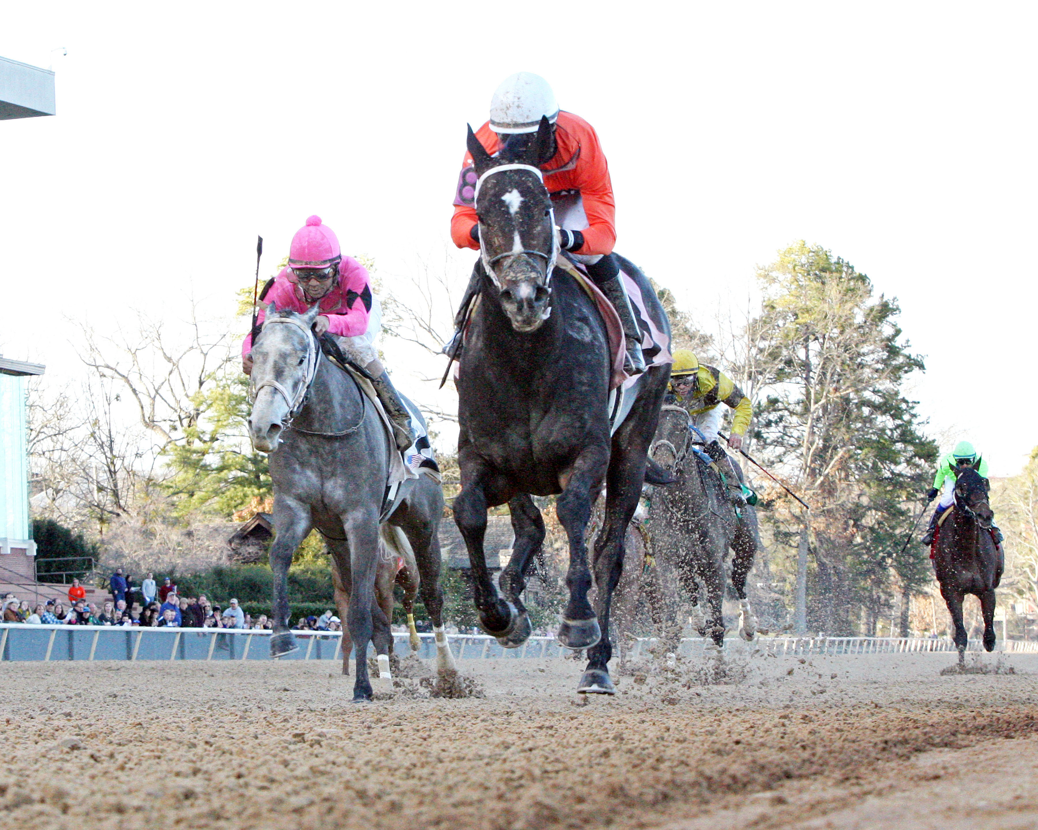 Sarah Sis wins the Honeybee