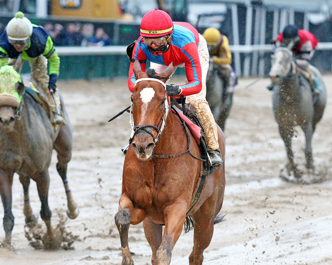 Sarah Harper wins a Nov. 12 allowance at Churchill Downs