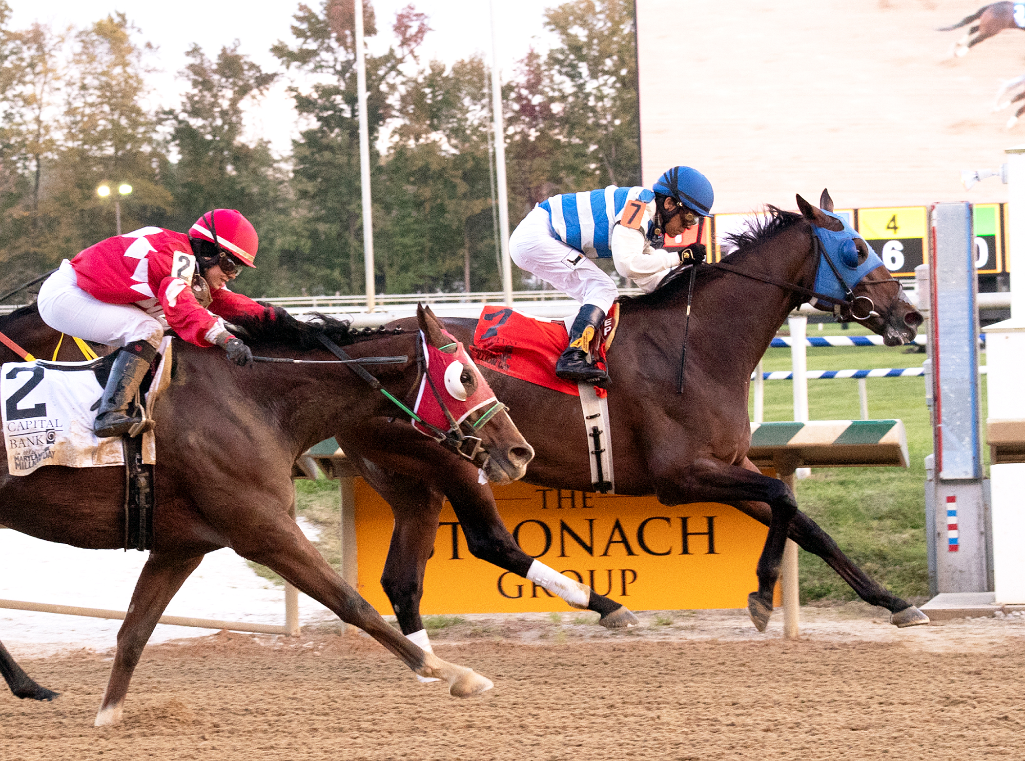 Saratoga Bob wins 2018 Maryland Million Classic