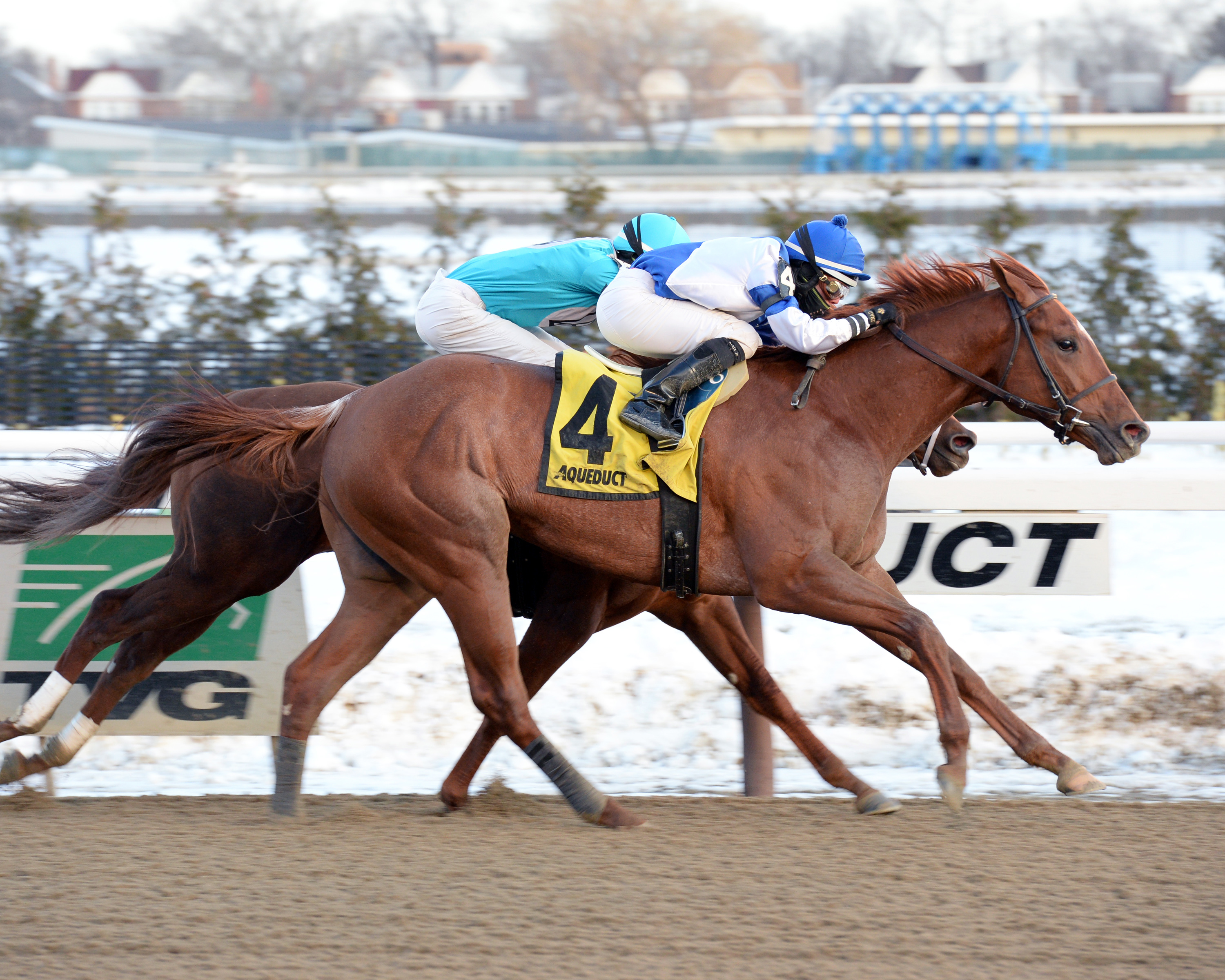 Saratoga Dreamer wins the Rego Park