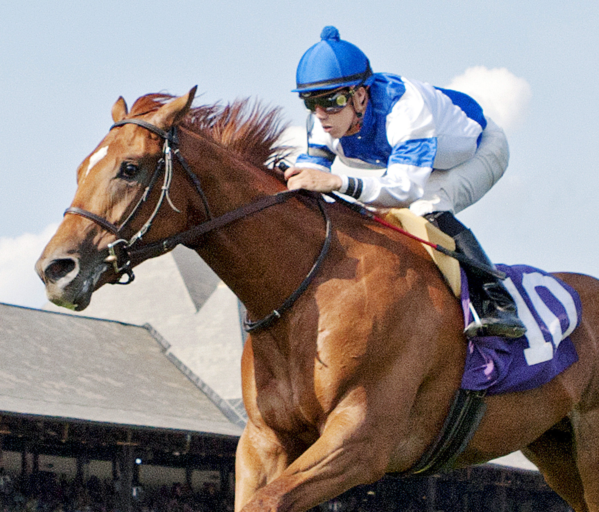 Saratoga Dreamer wins a maiden