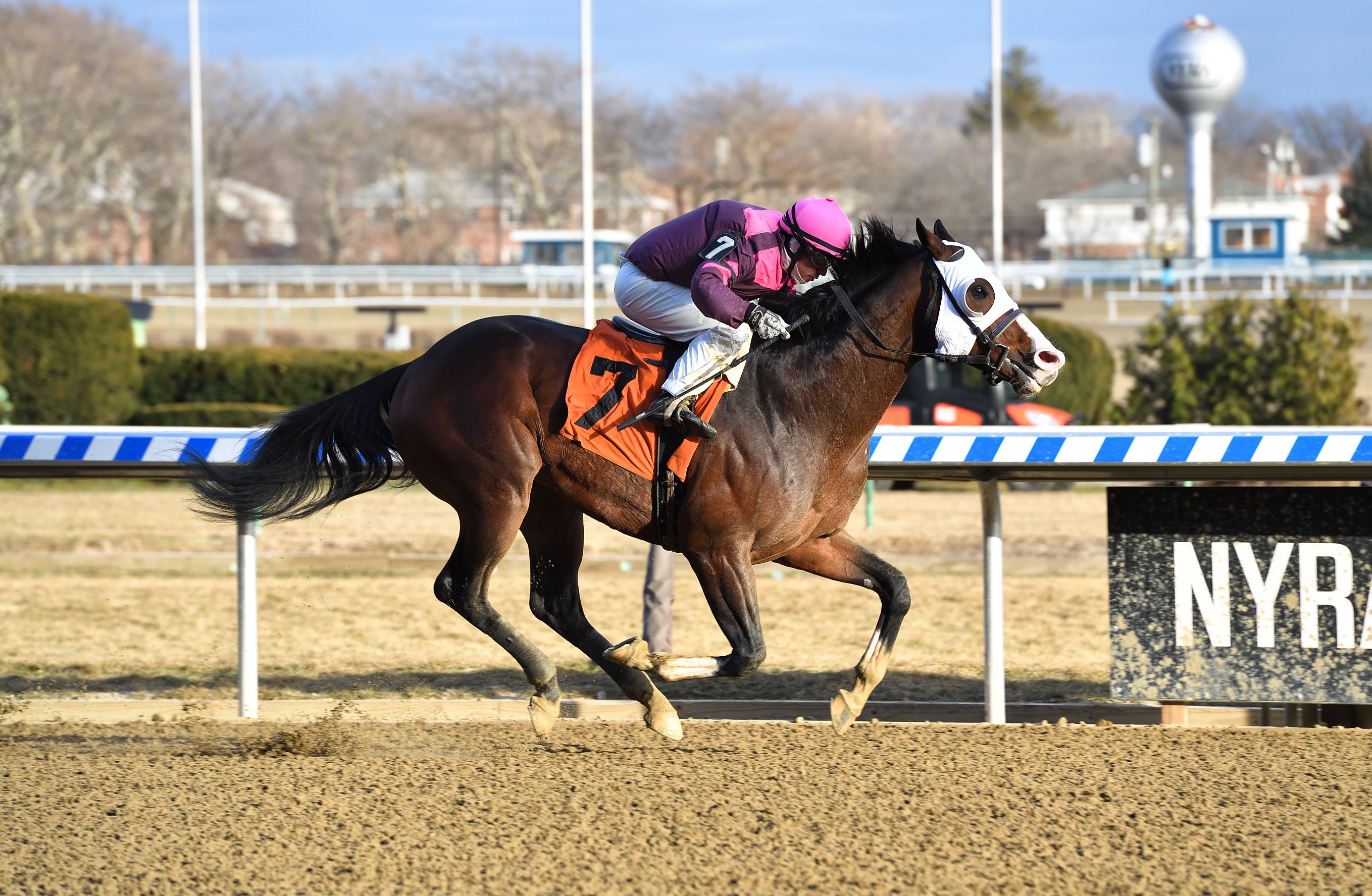 Saratoga Giro wins a Jan. 15 allowance race