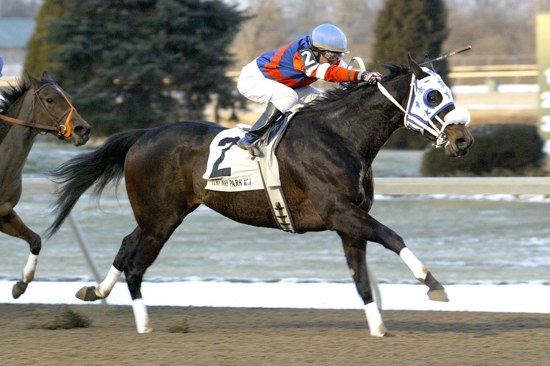 Saratoga Humor 2004