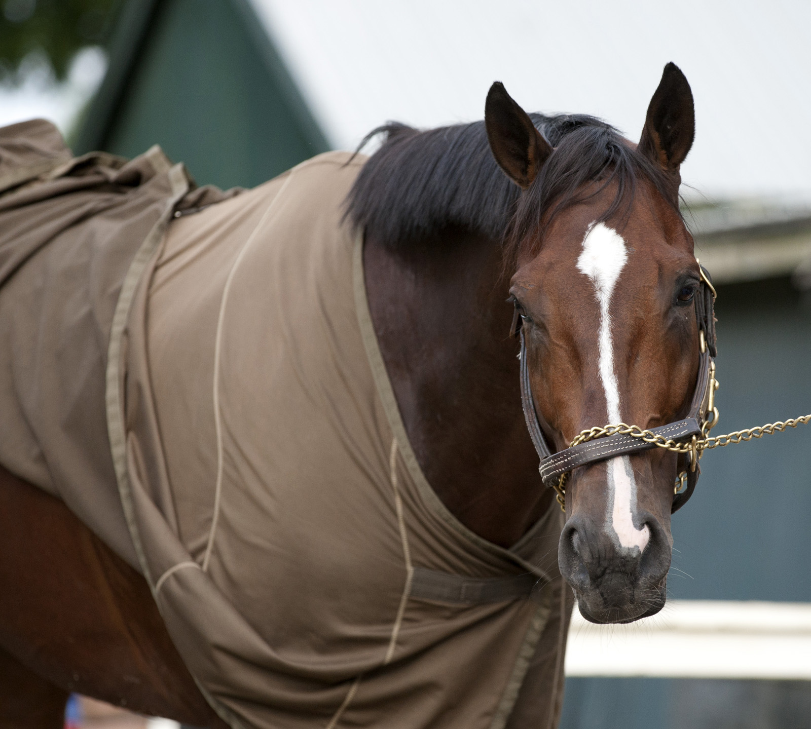 Saratoga Snacks