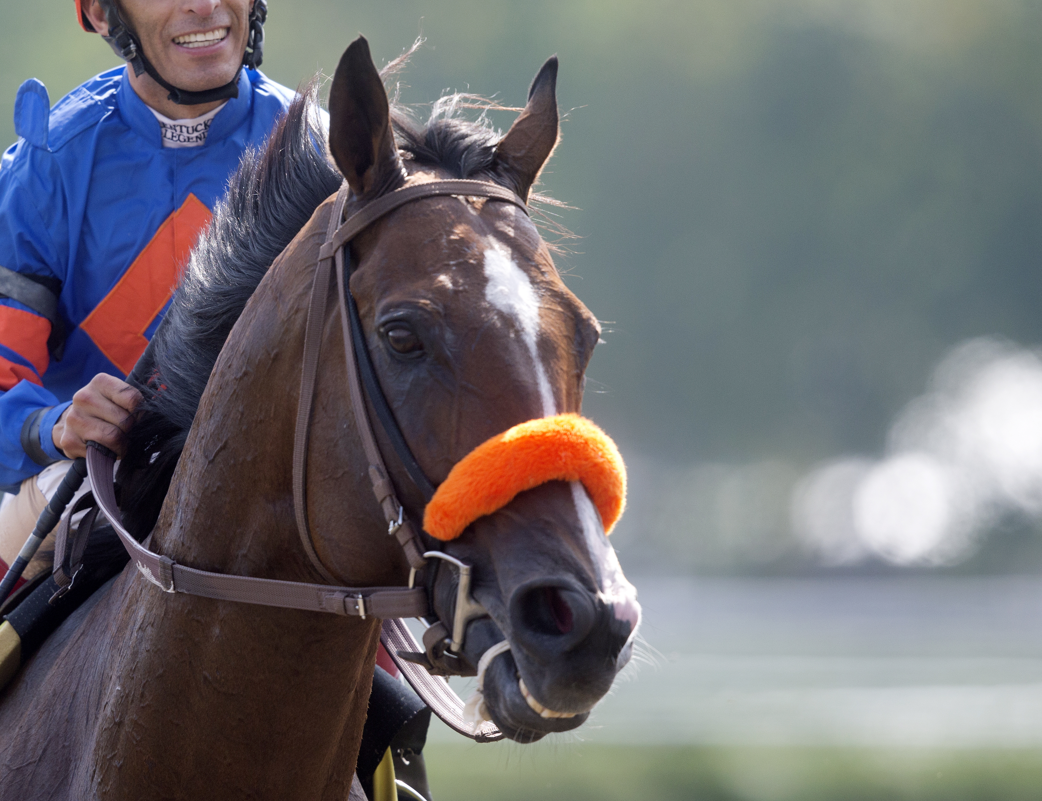 Saratoga Snacks