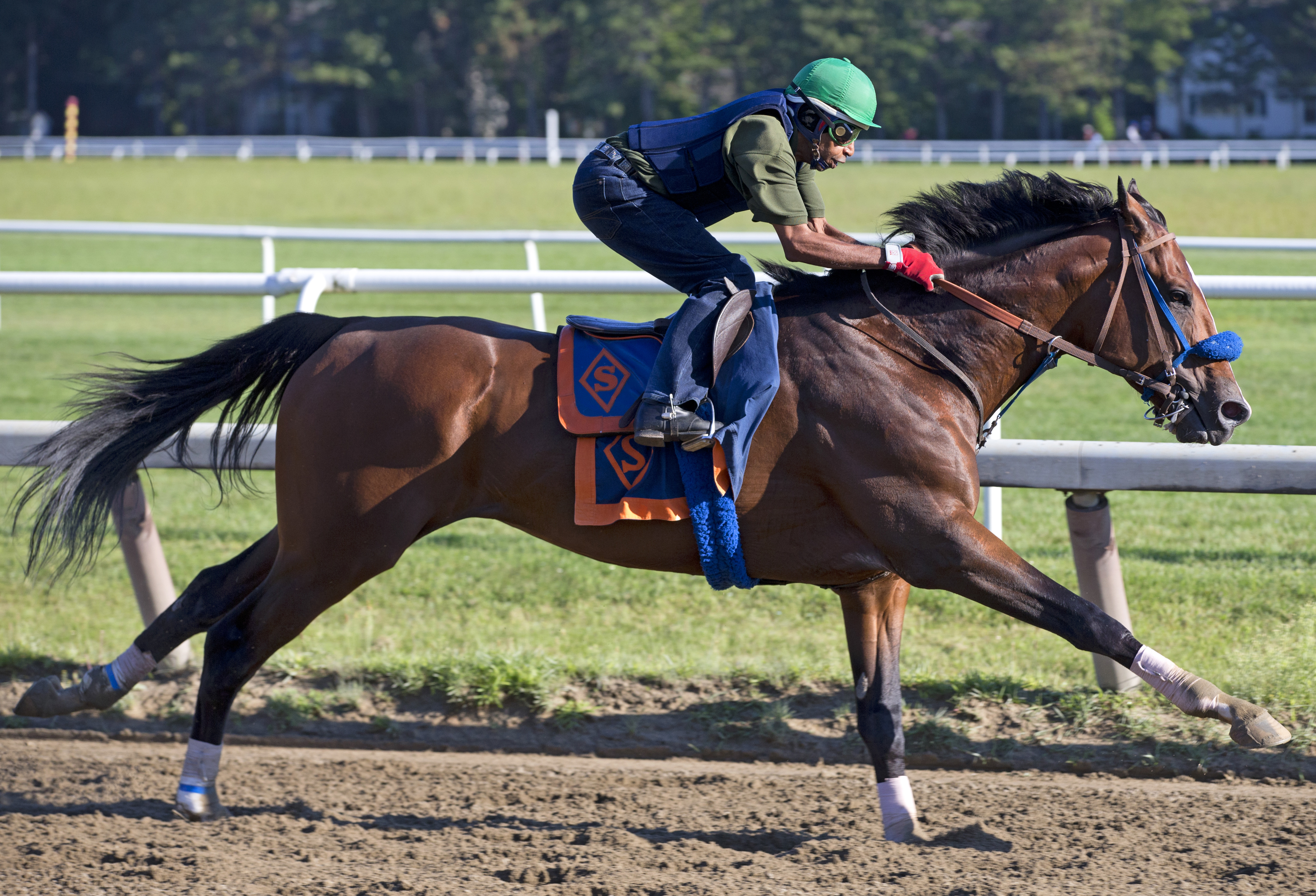 Saratoga Snacks training