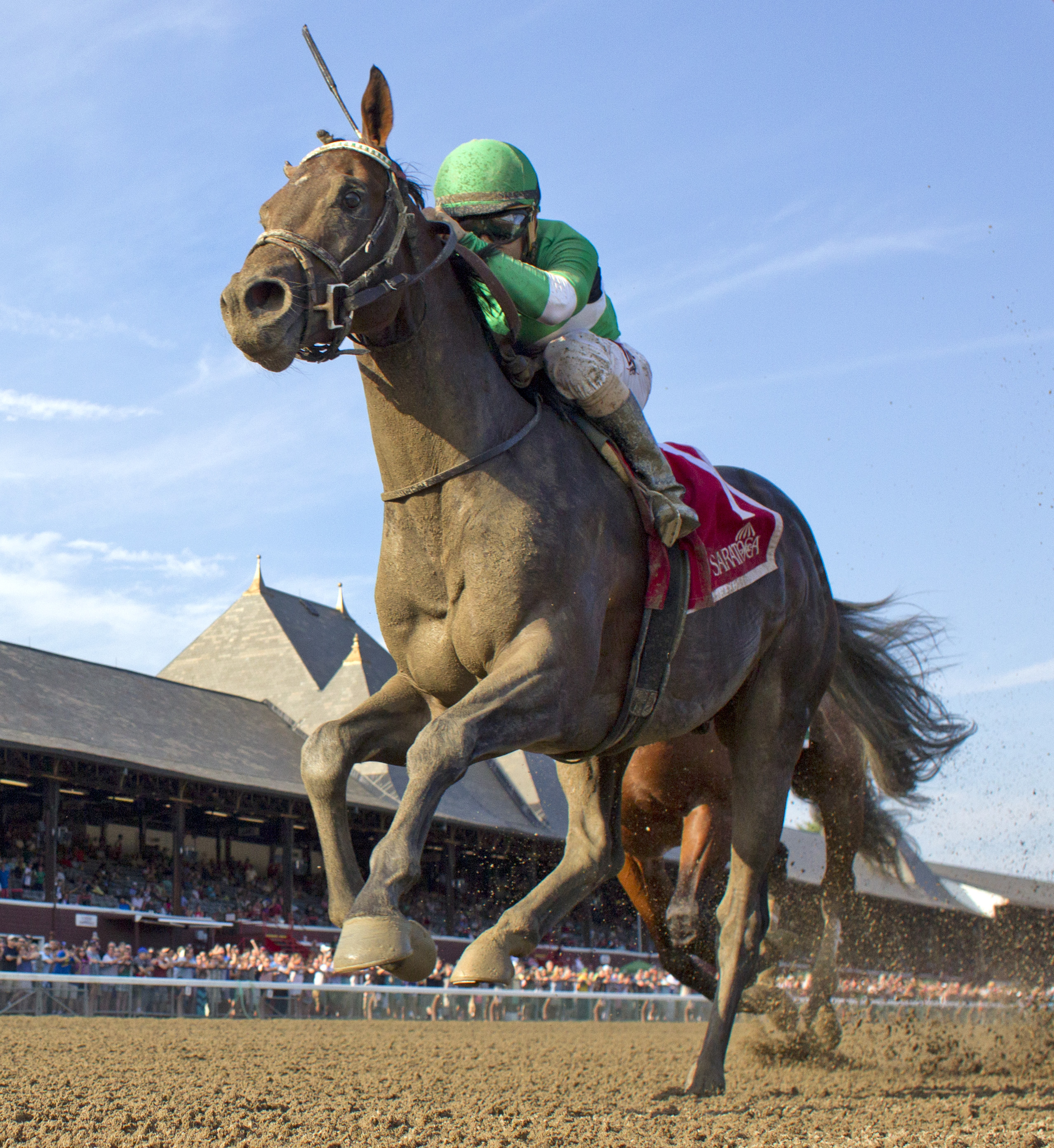 Exaggerator wins 2015 Saratoga Special
