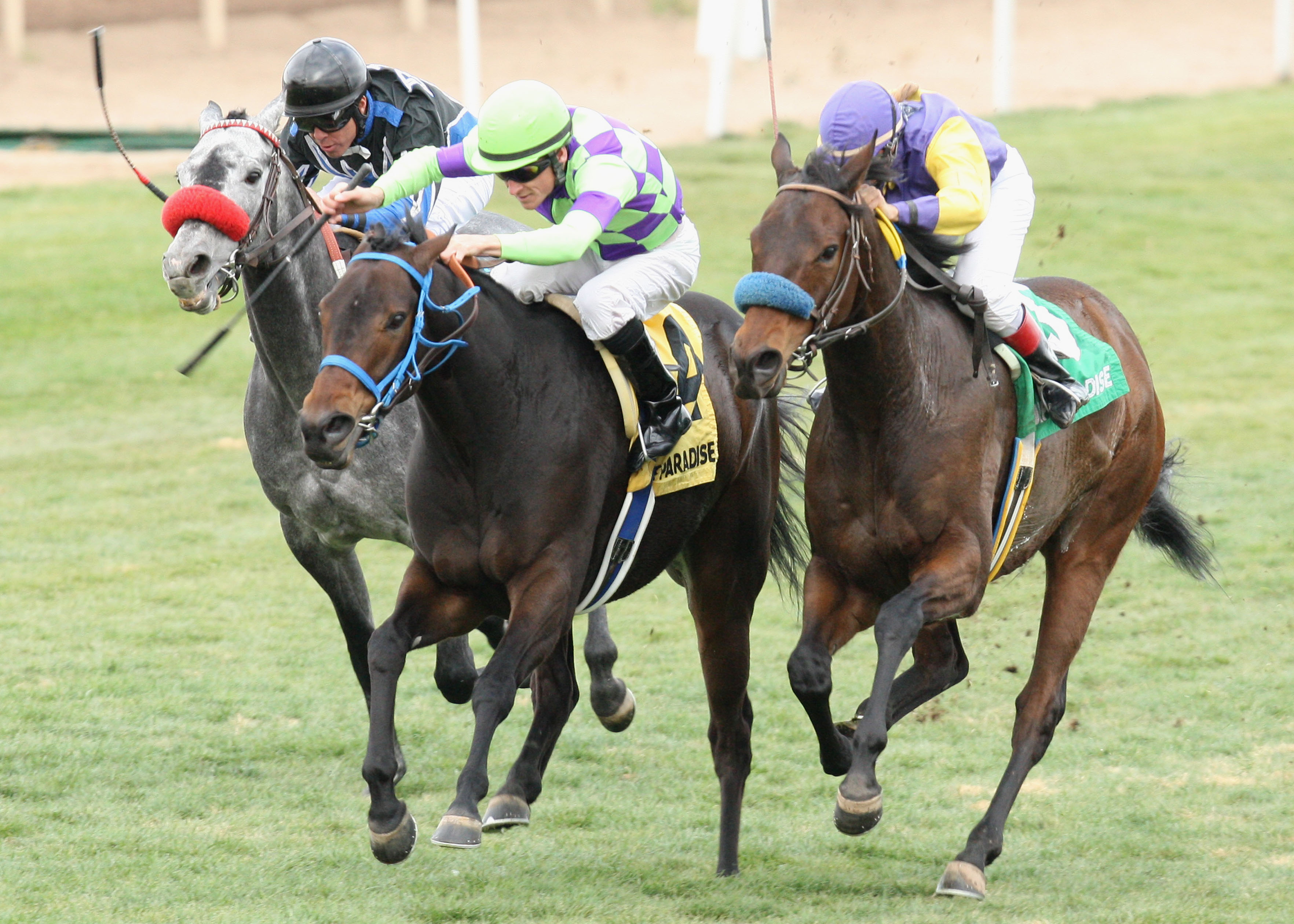 Saratoga Boot 1-14-2012