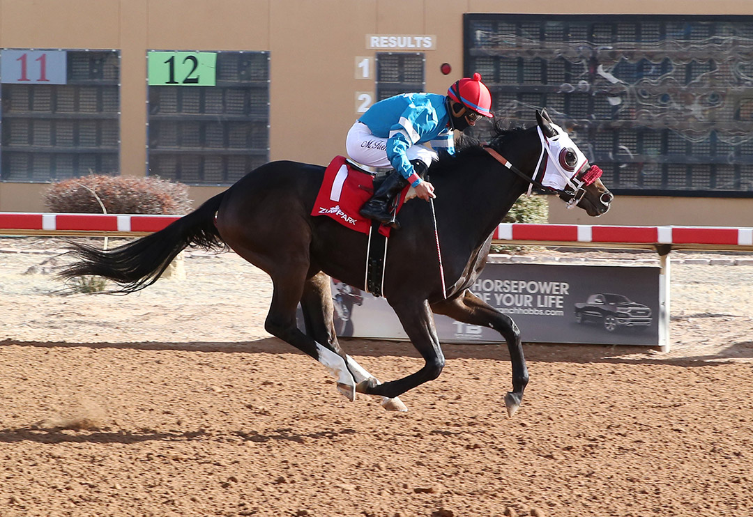 Sarge wins the 2020 Steve Prather Stakes at Zia Park