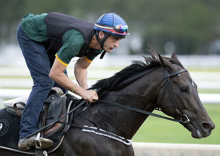 Sarrasin trains at Saratoga in July 2018