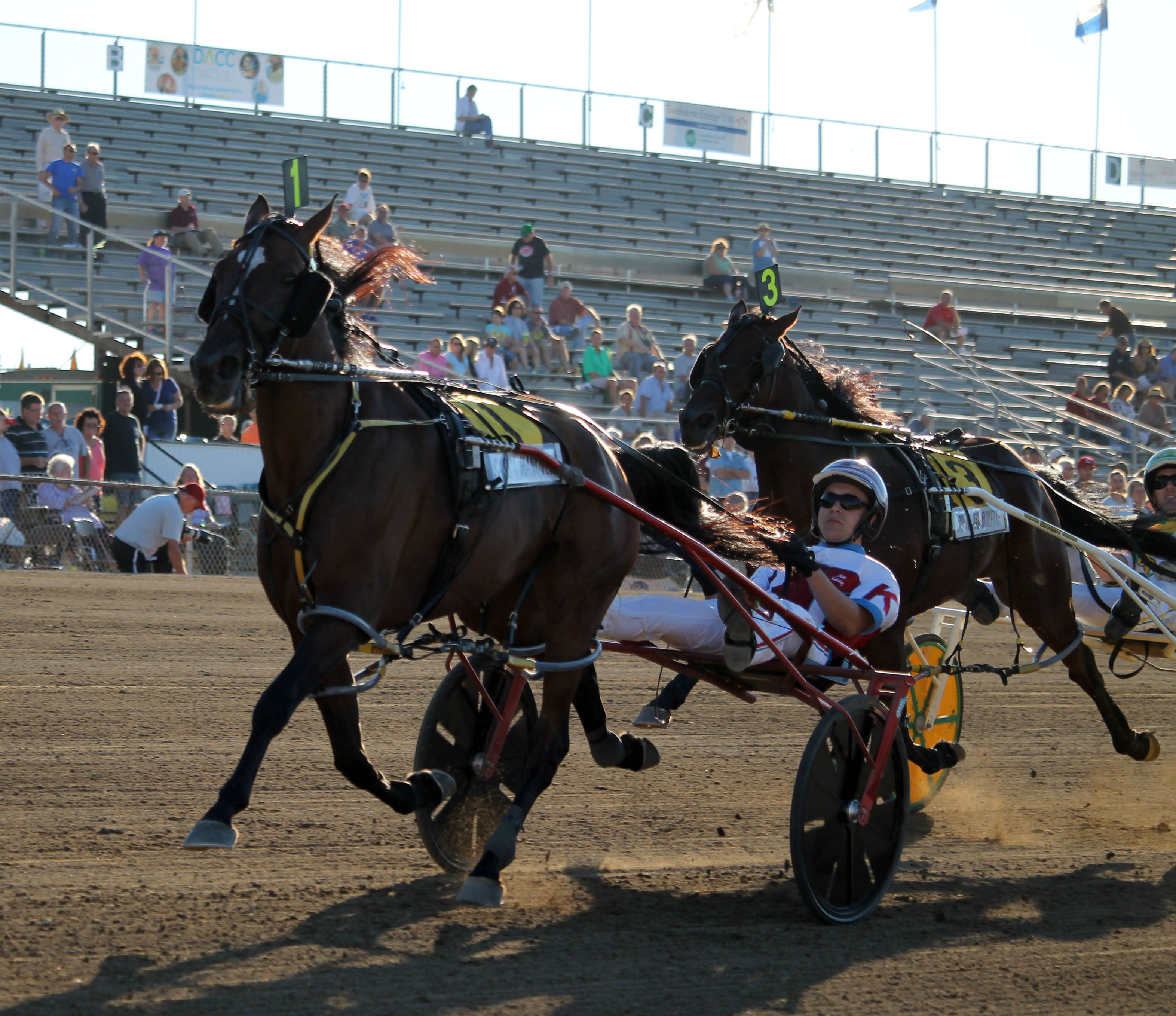 Sassa Hanover_Jugette