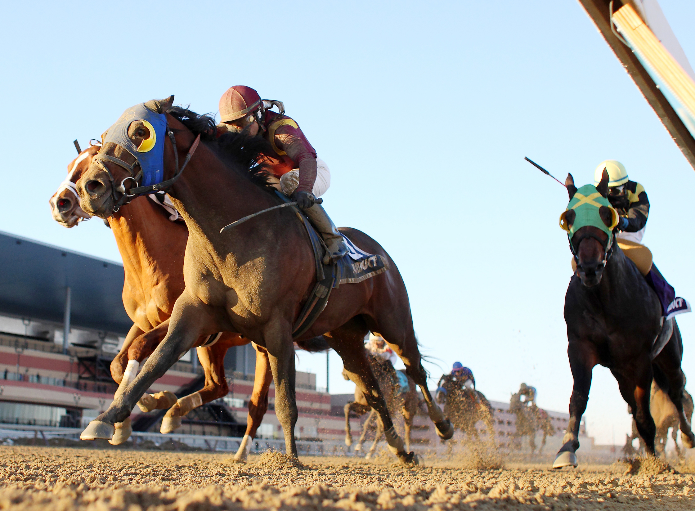 Sassicaia wins the Toboggan Stakes