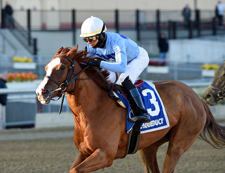 Sassy Agnes wins the 2018 Key Cents Stakes