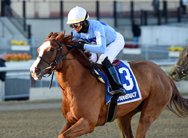 Sassy Agnes wins the 2018 Key Cents Stakes