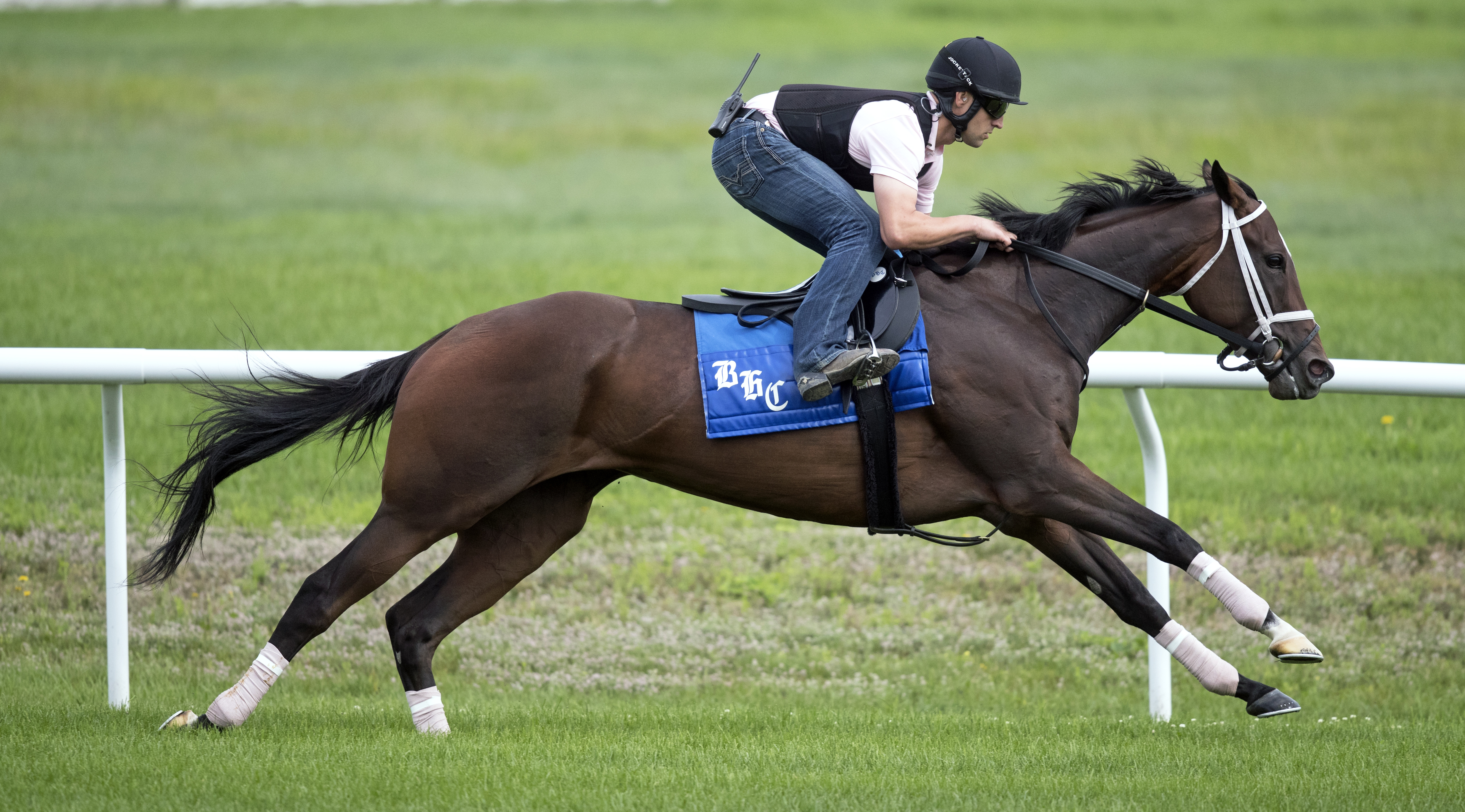 Sassy Little Lila trains at Saratoga on July 29, 2017